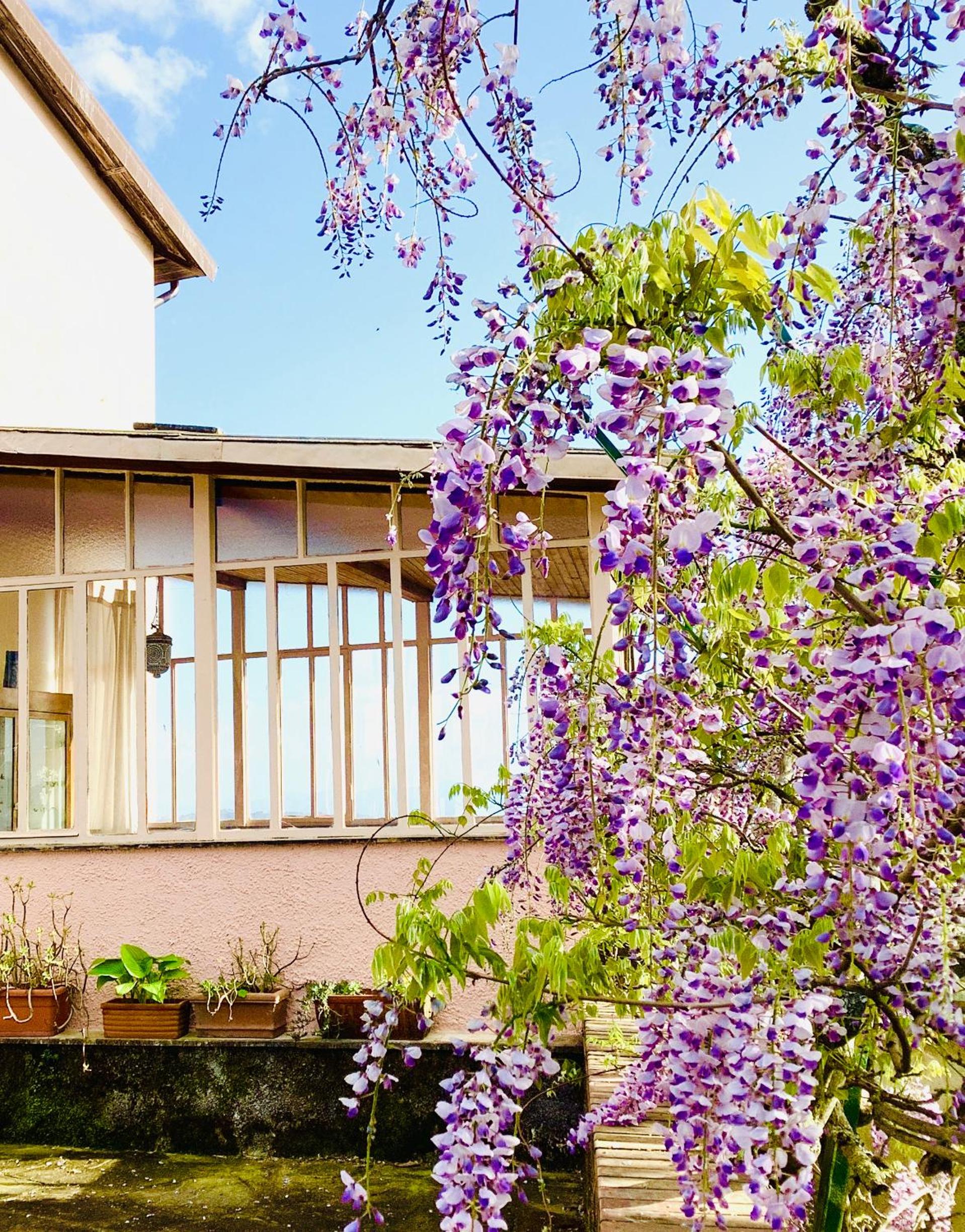 Artists' holiday home near Cinque Terre - 4 bedrooms, large terrace, great views view 4
