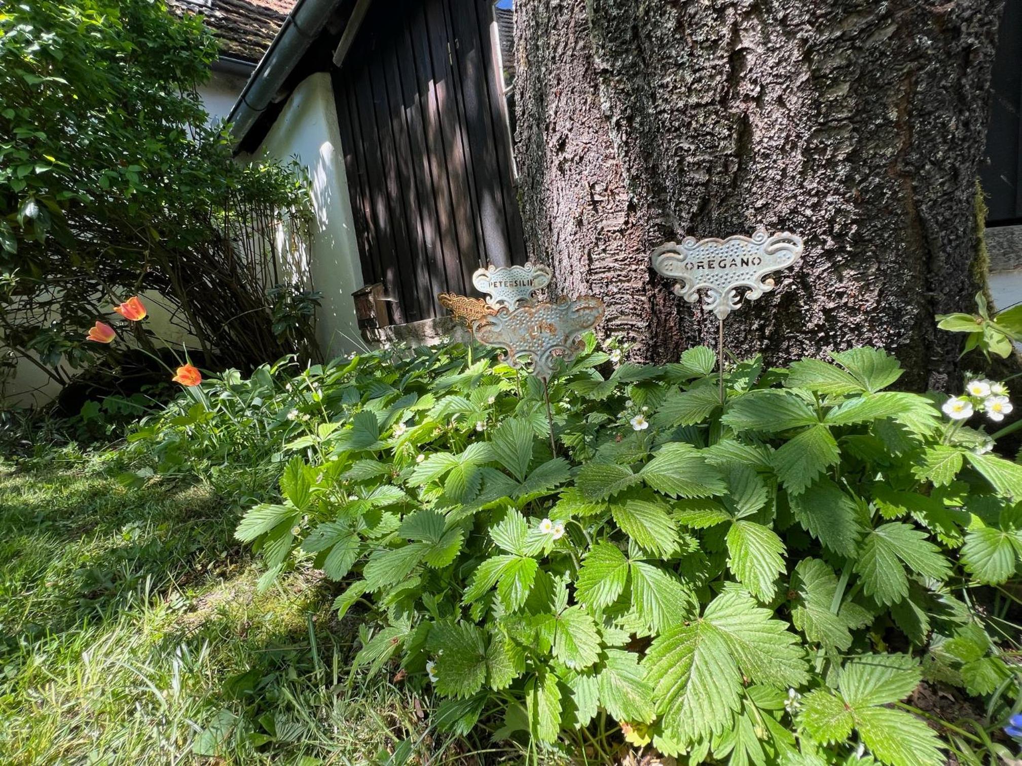 Forsthartl 7 Landhausurlaub