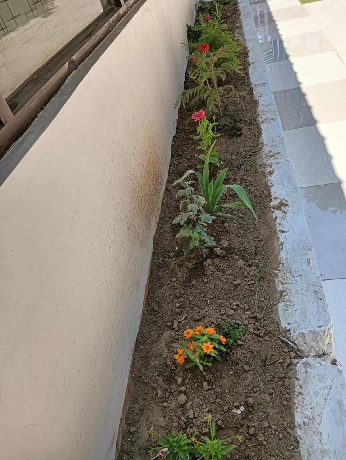 Photo 20