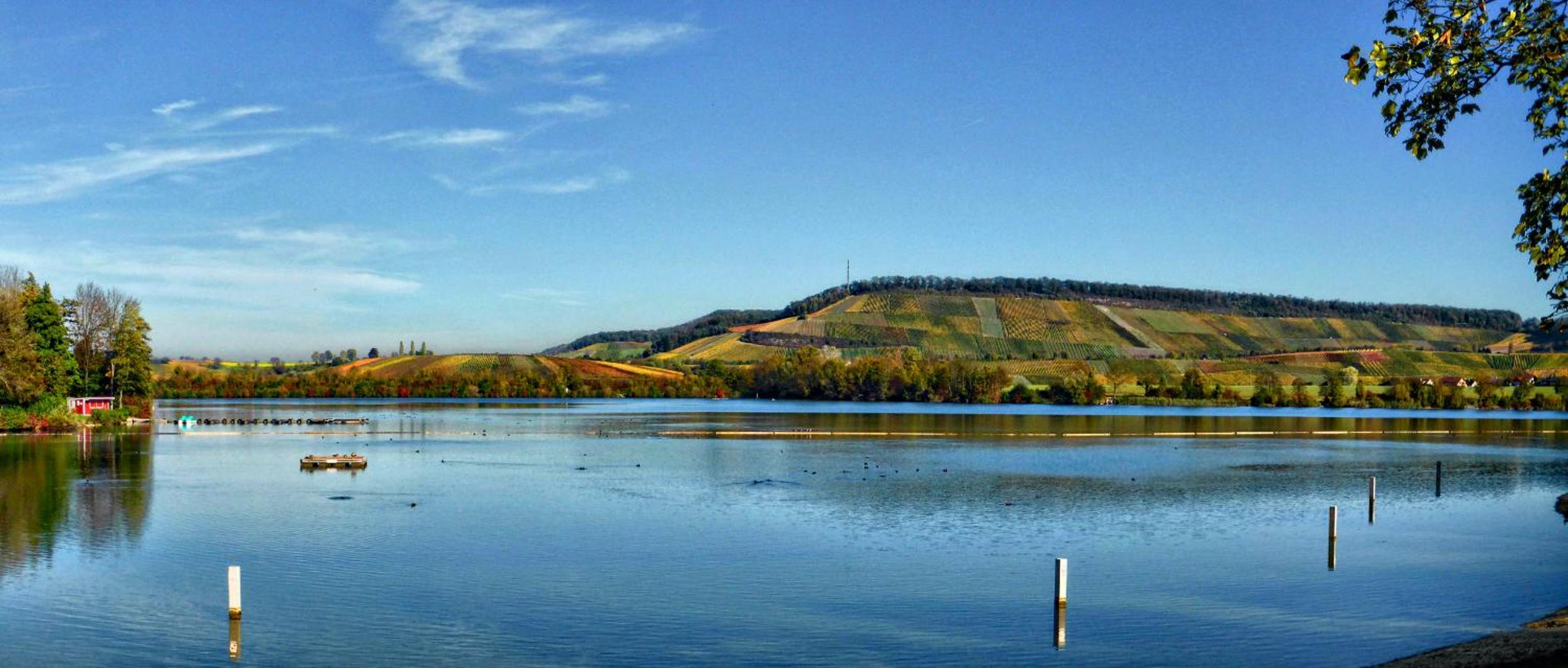 Gästehaus und Weingut Erich Hirth