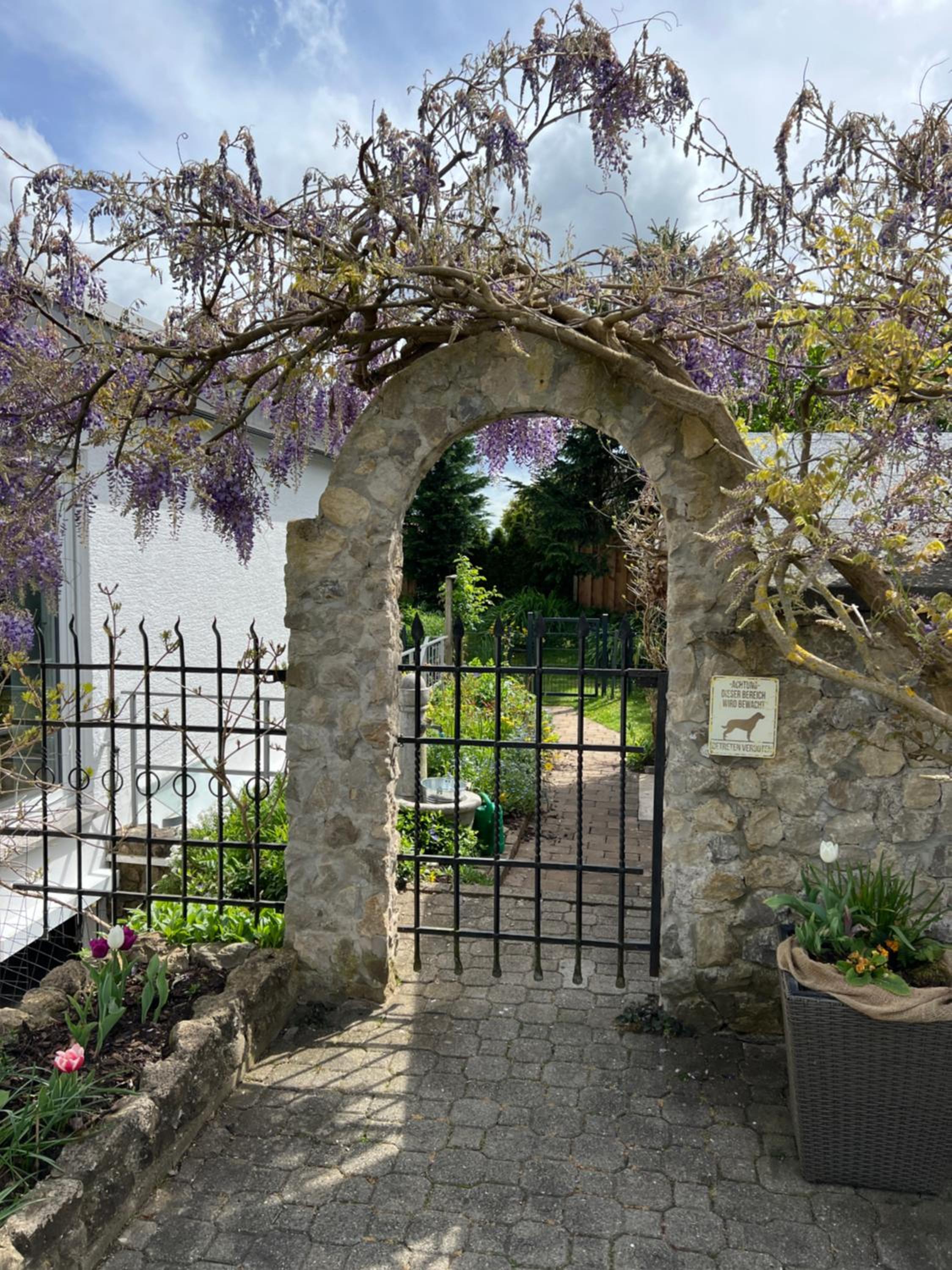 Photo 28