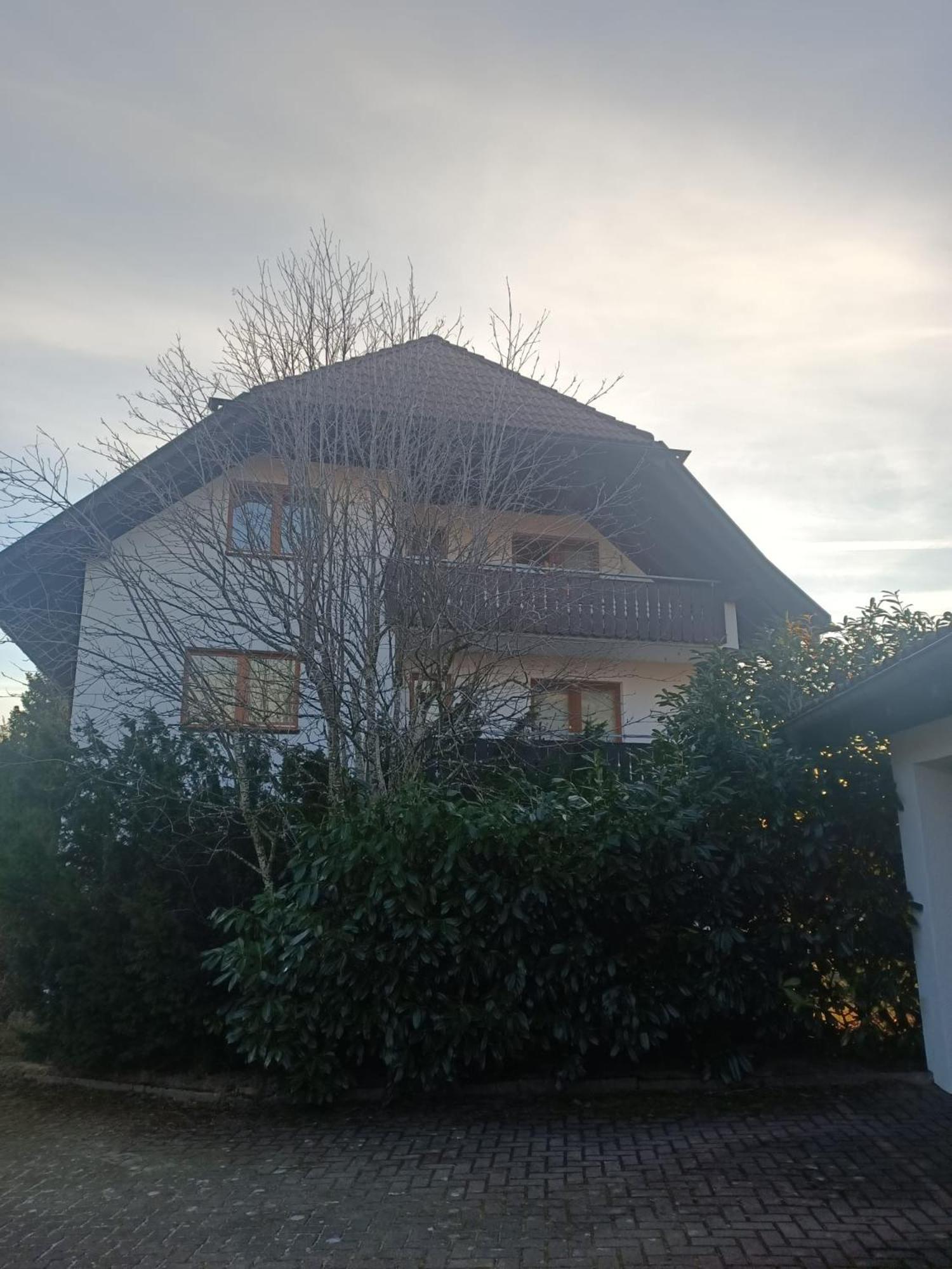 Schwarzwaldliebe