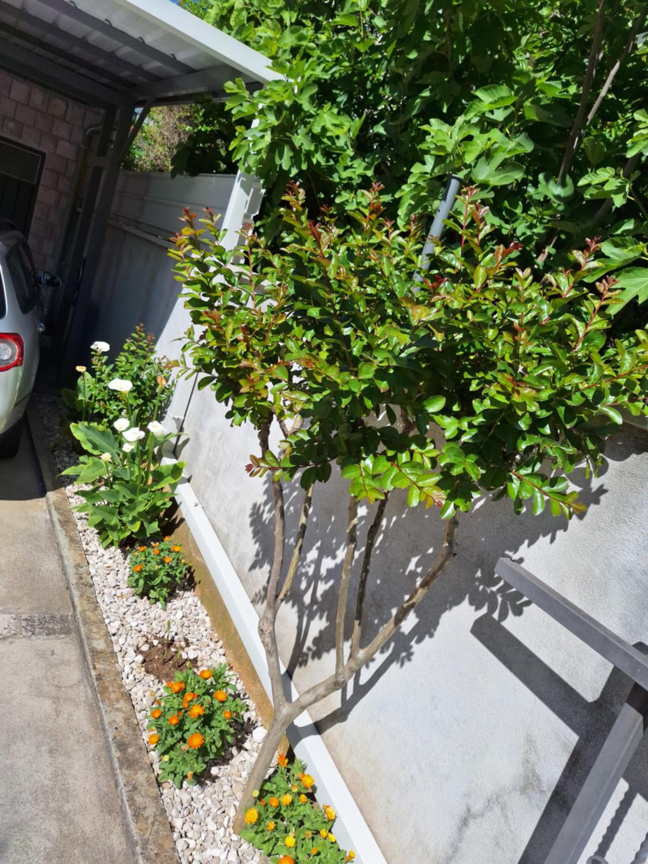 Apartment S view 3
