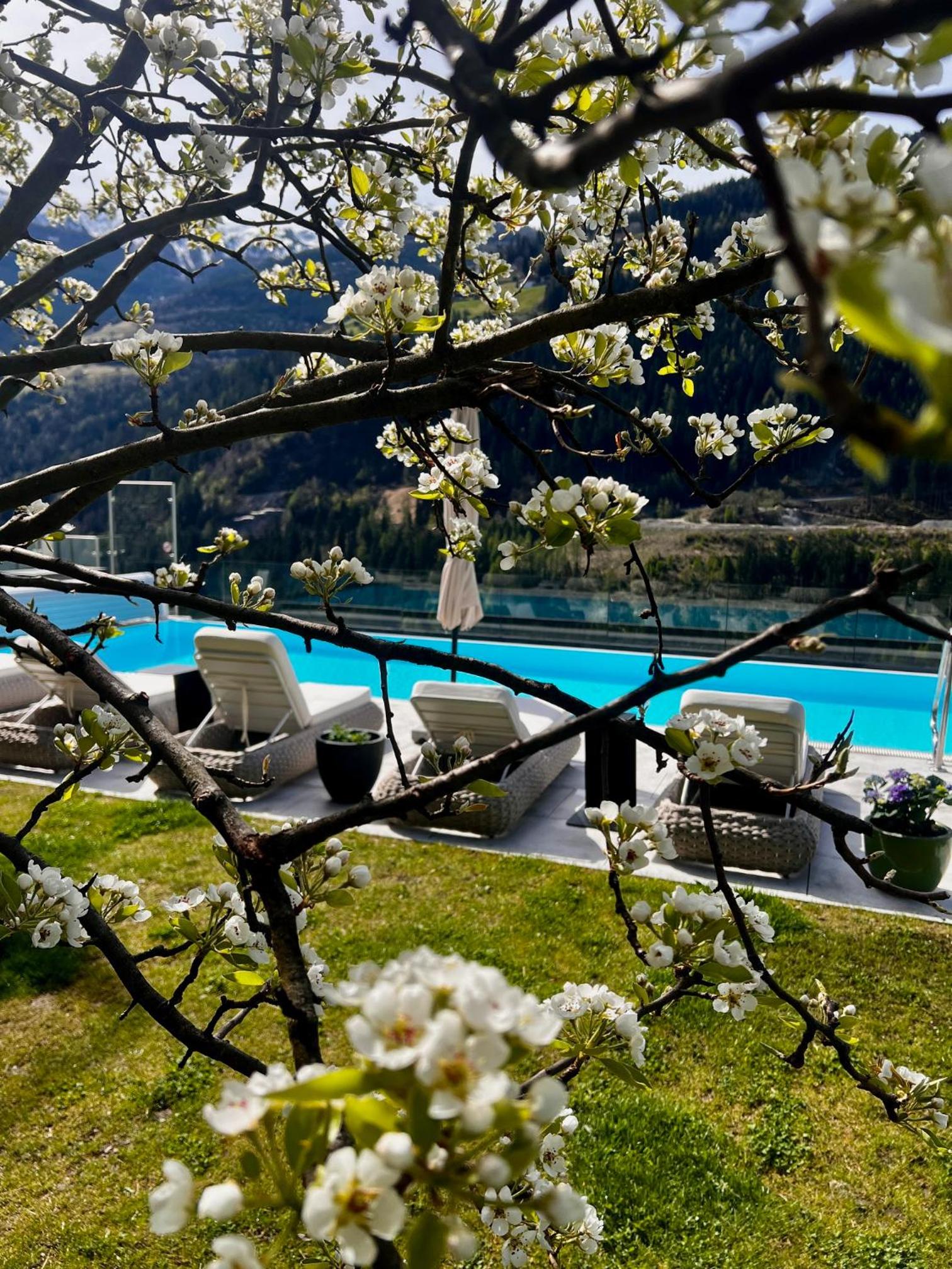 Boutique Apartment Sonnenhang - incl SPA-AREA