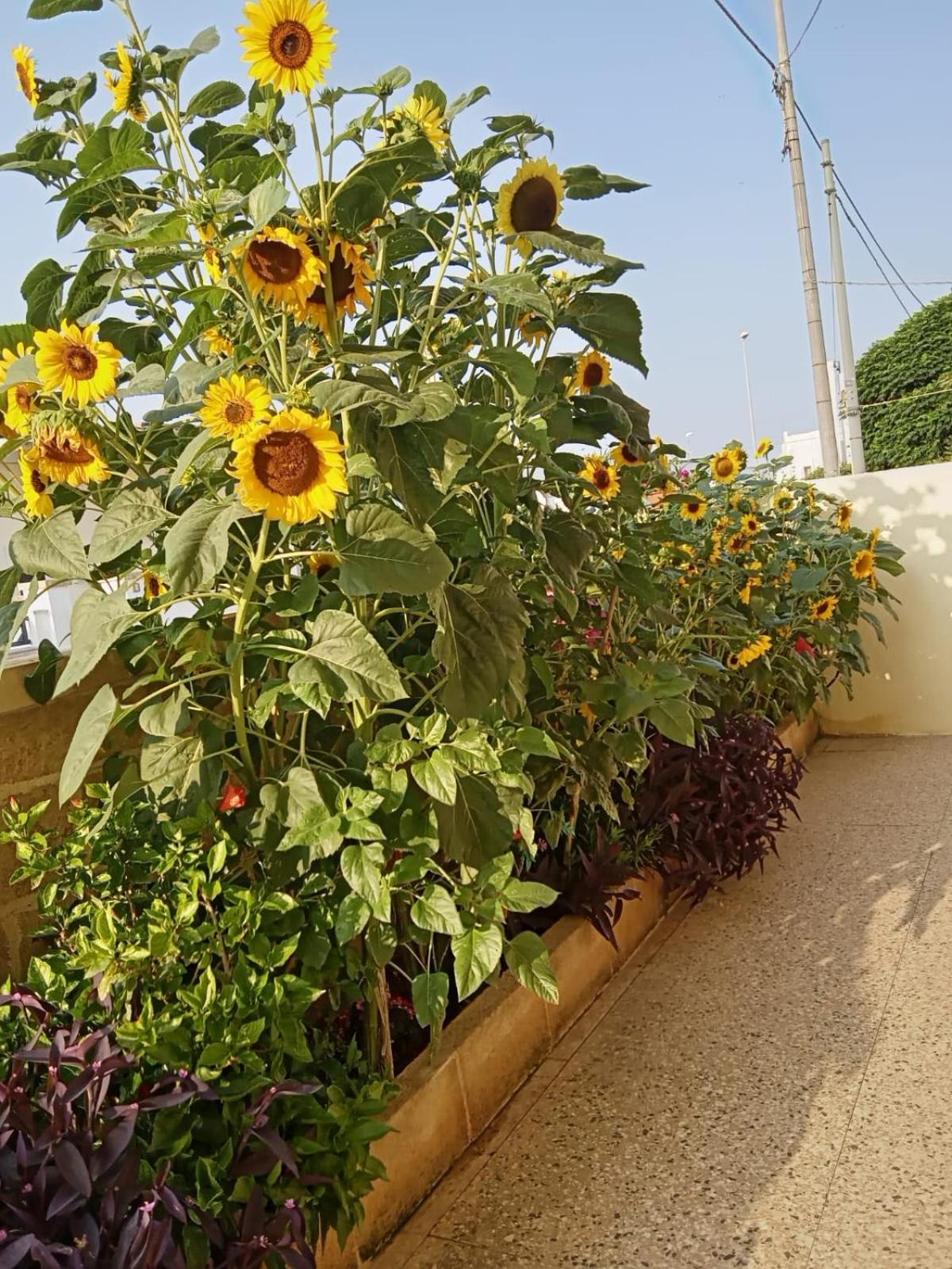 Casa vacanza Tiziana