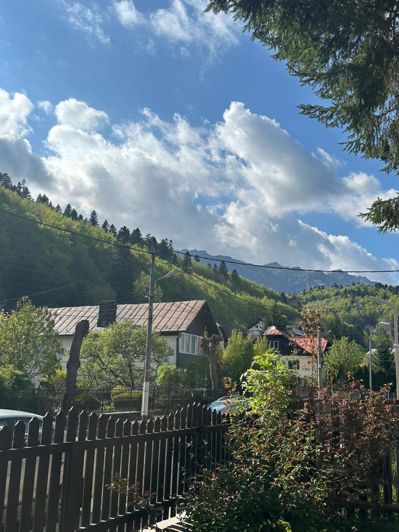 Vila Rapsodia Sinaia