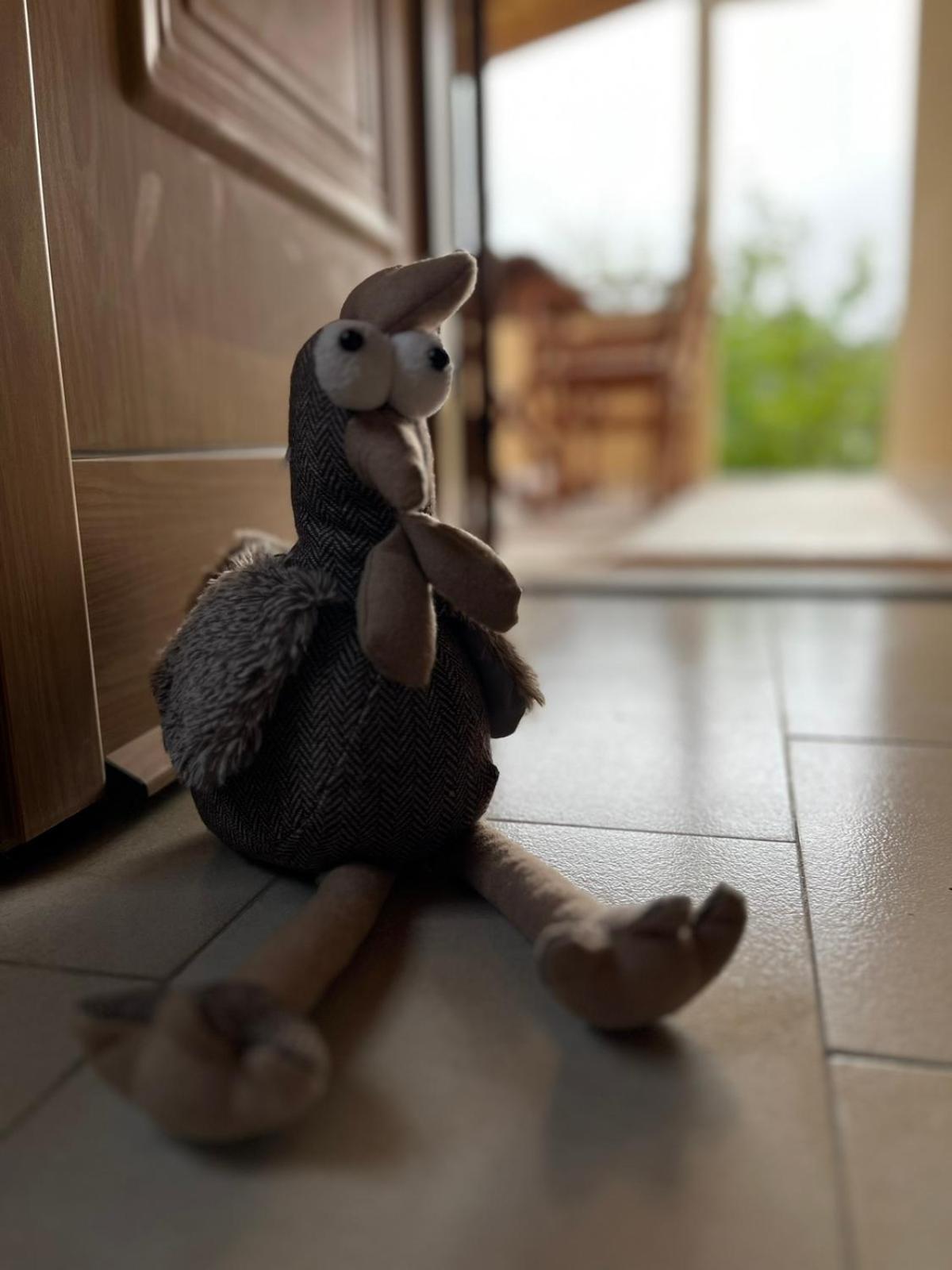 Photo 20