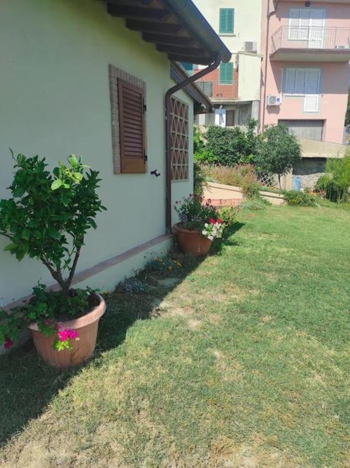 Il giardino fiorito view 4