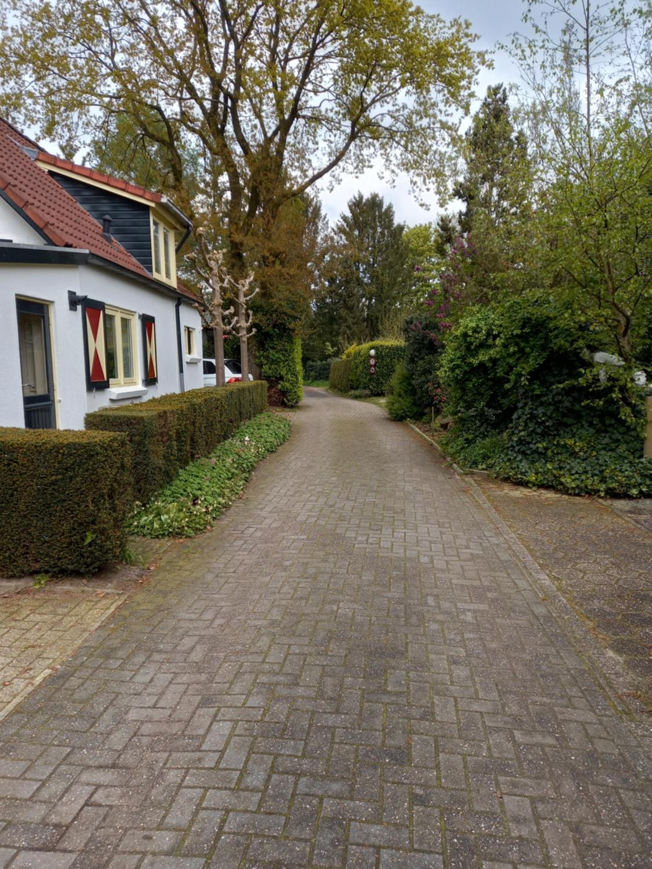 Photo 49