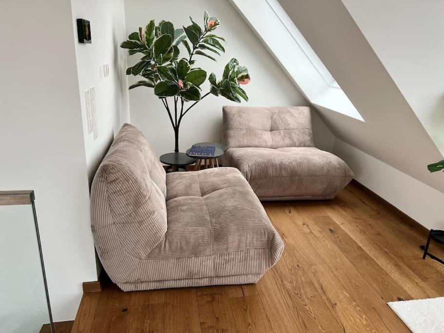 Luxus Dachtraum nähe Zentrum