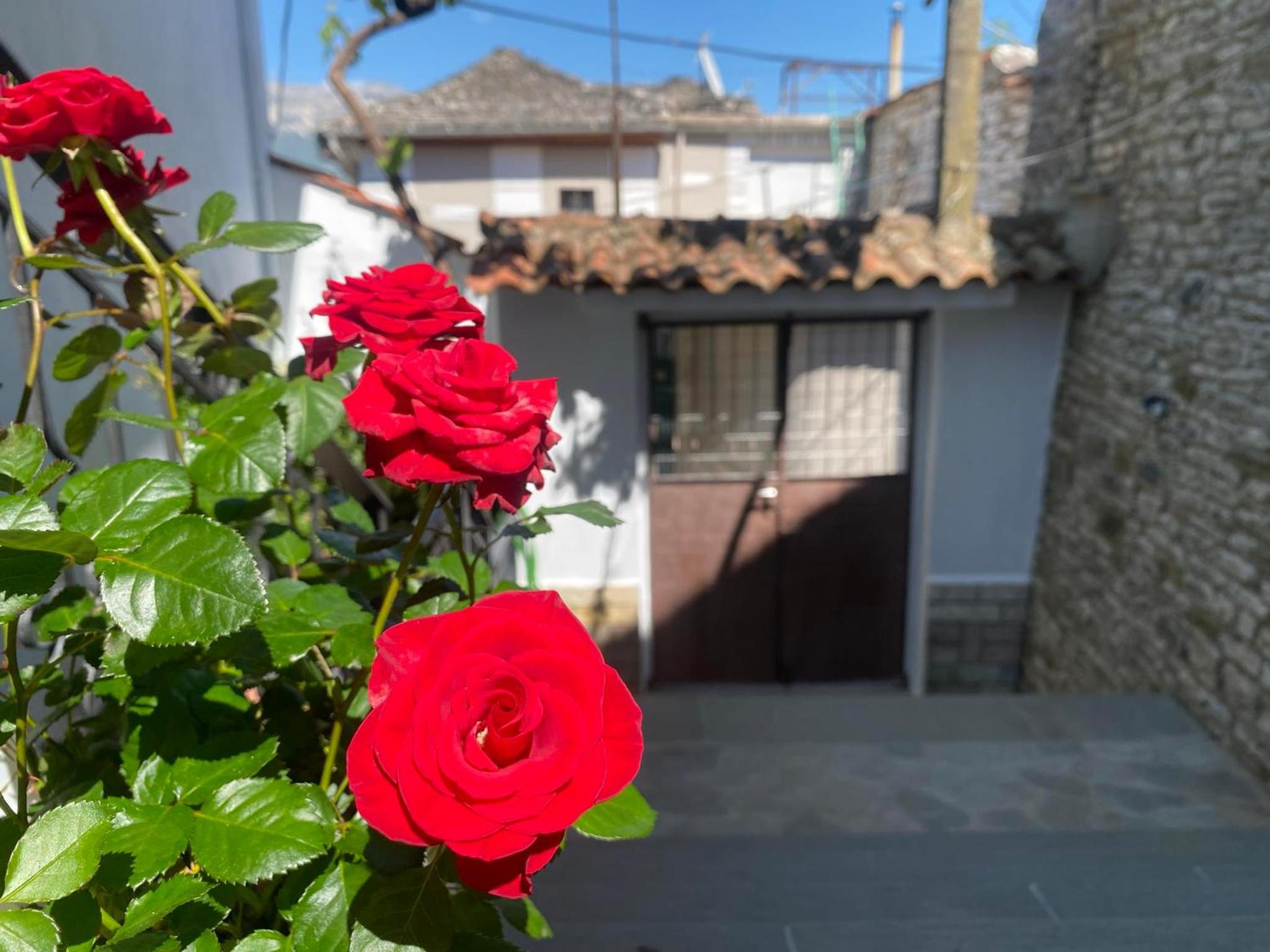 Guest House Persa
