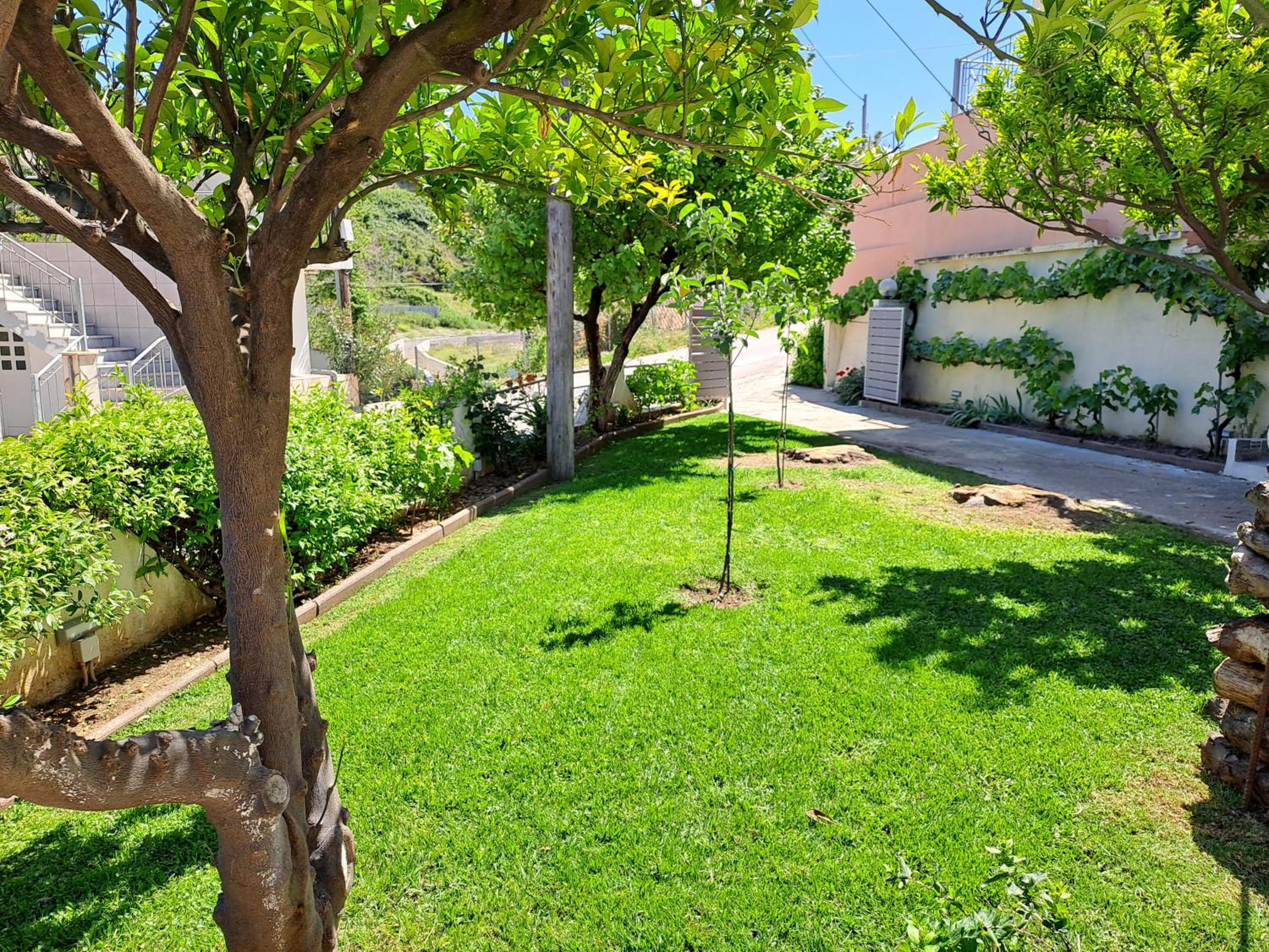 Nick's Apartments Evia view 2