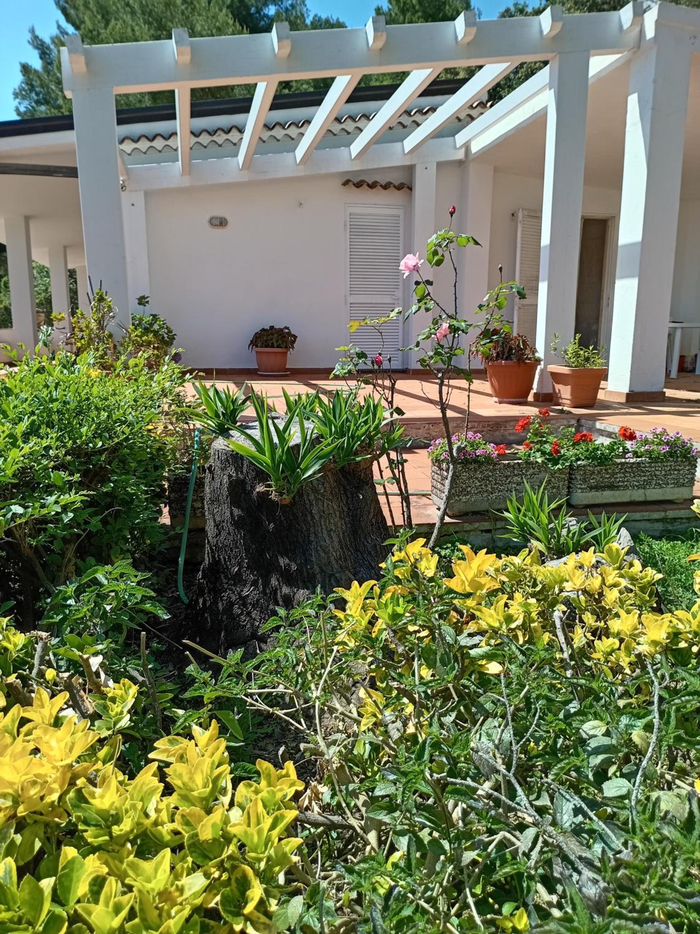 Villa Eminenza