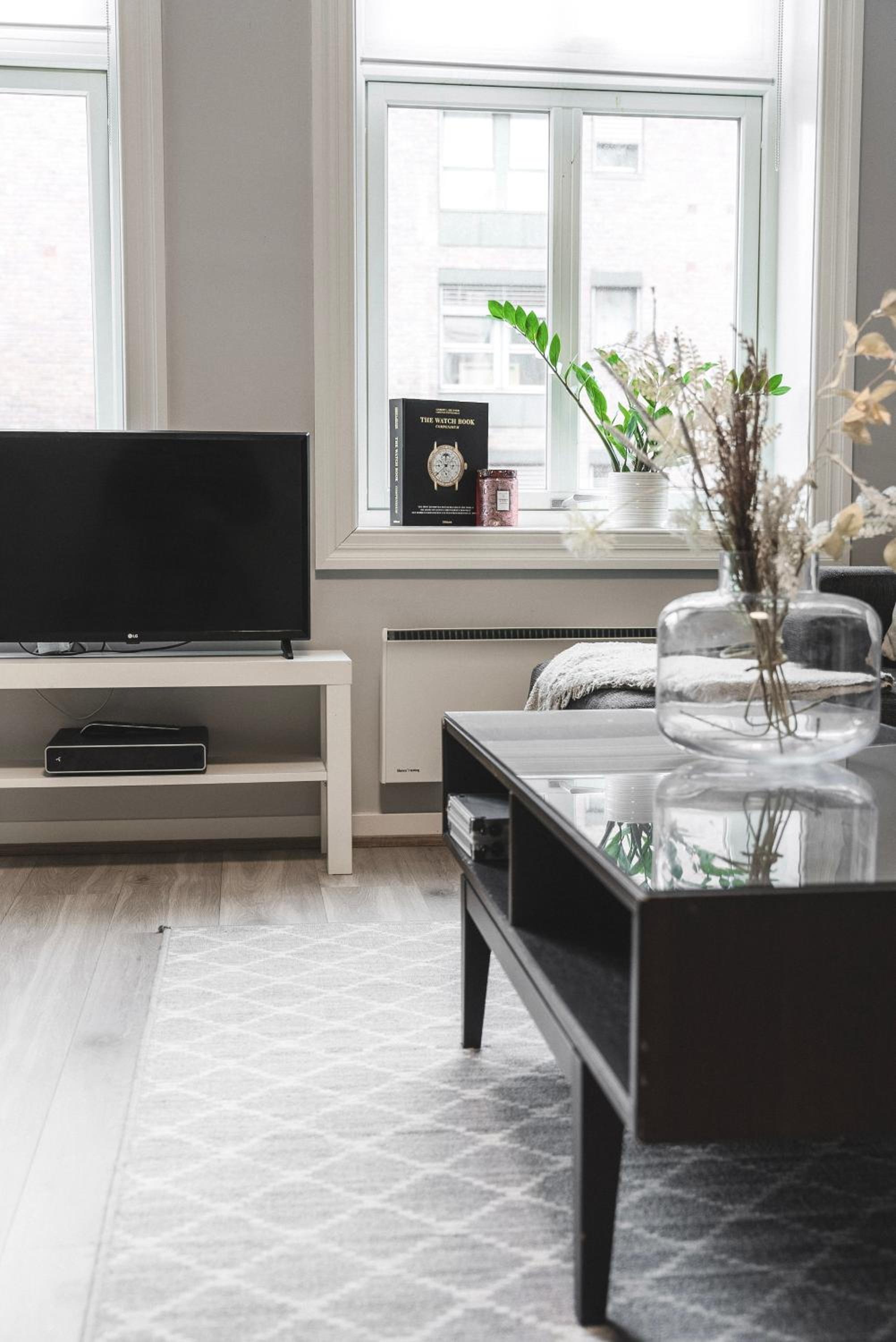 One-bedroom apartment in central Oslo view 2