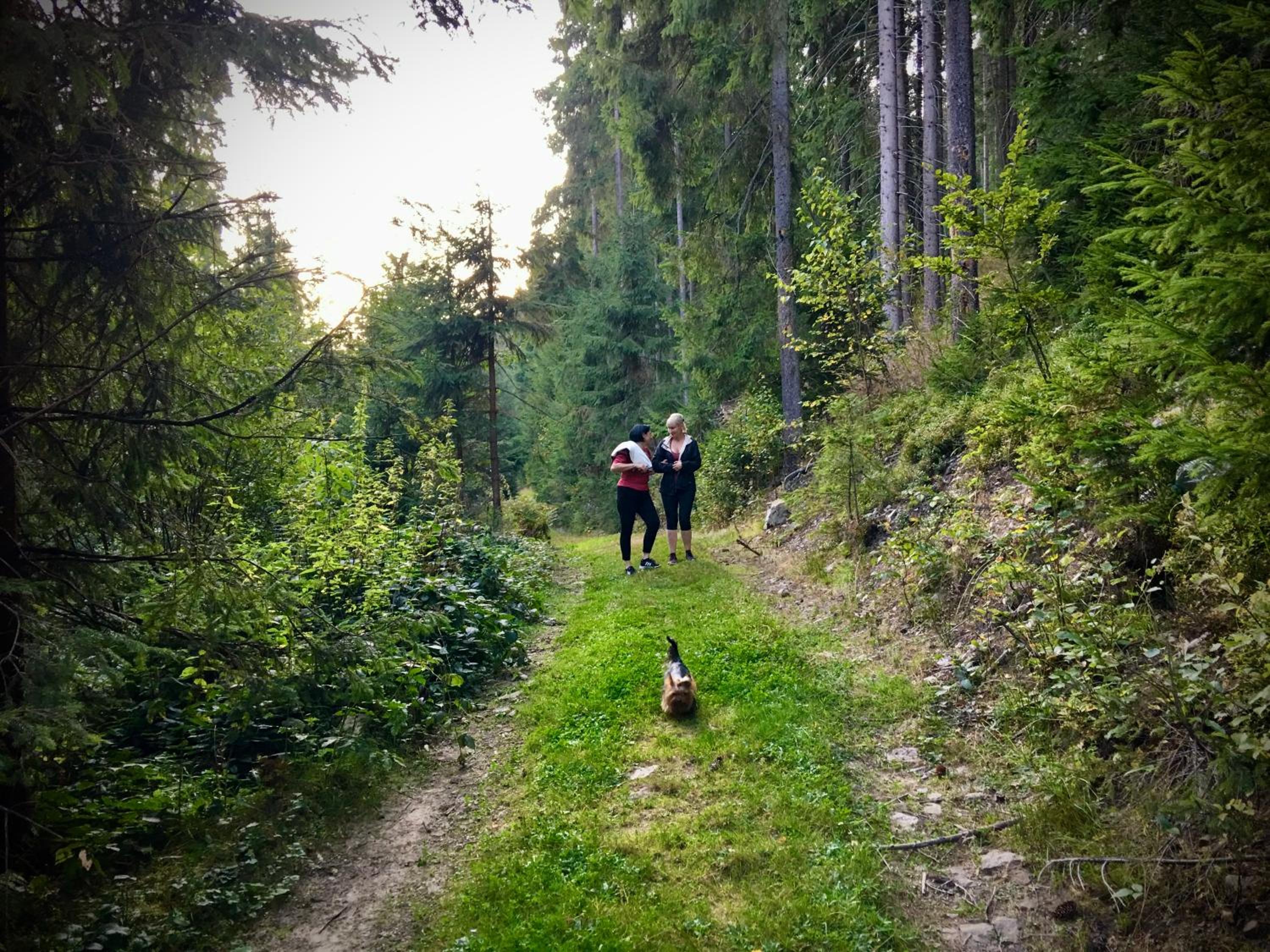 Cottage Kalinka