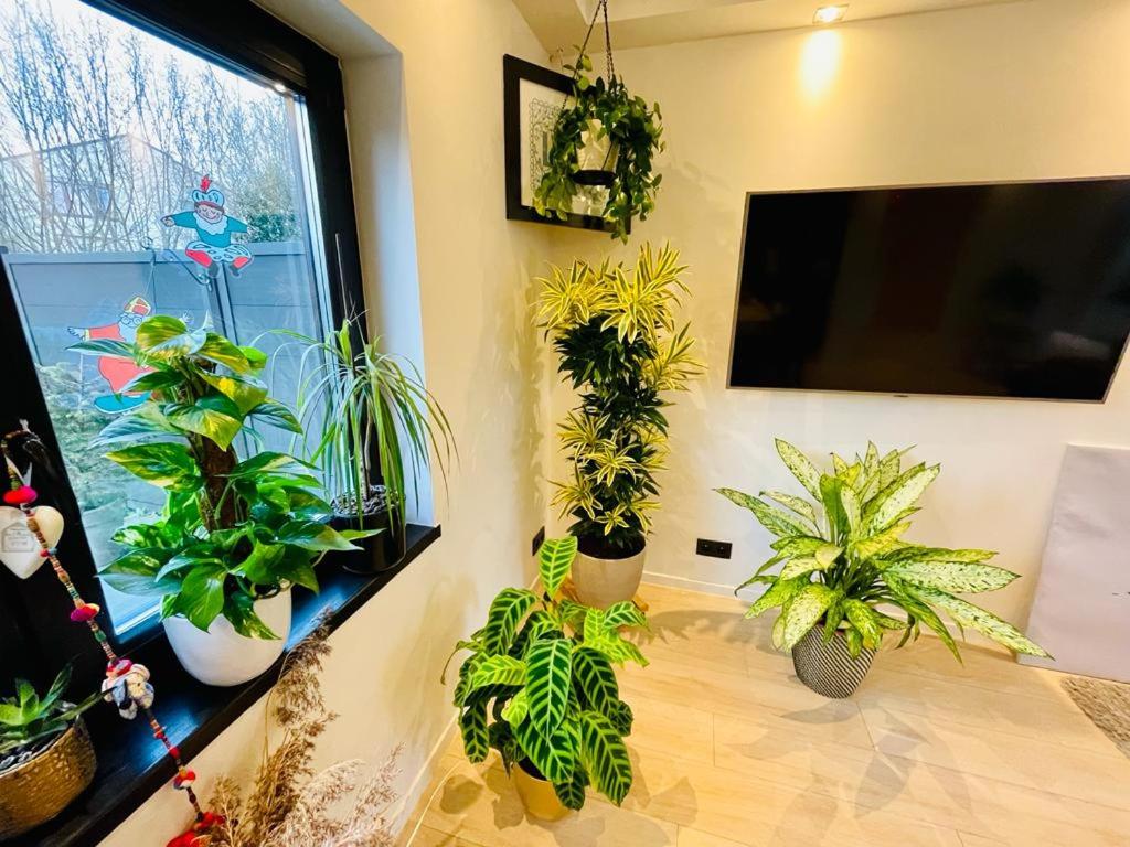 Town house with garden - 1 room with shared bathroom