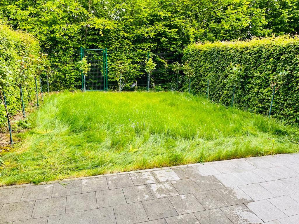 Town house with garden - 1 room with shared bathroom
