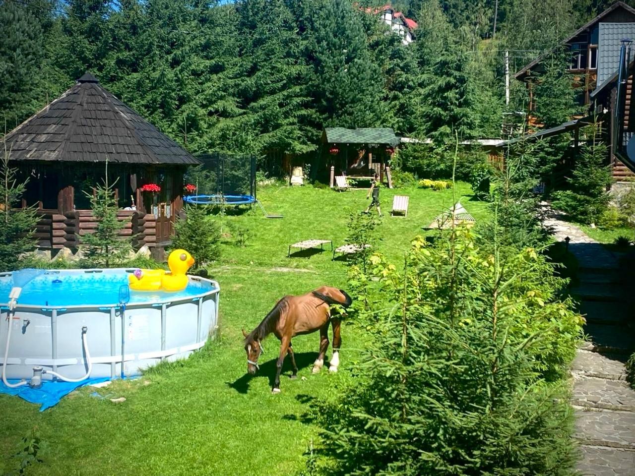 Cottage Kalinka