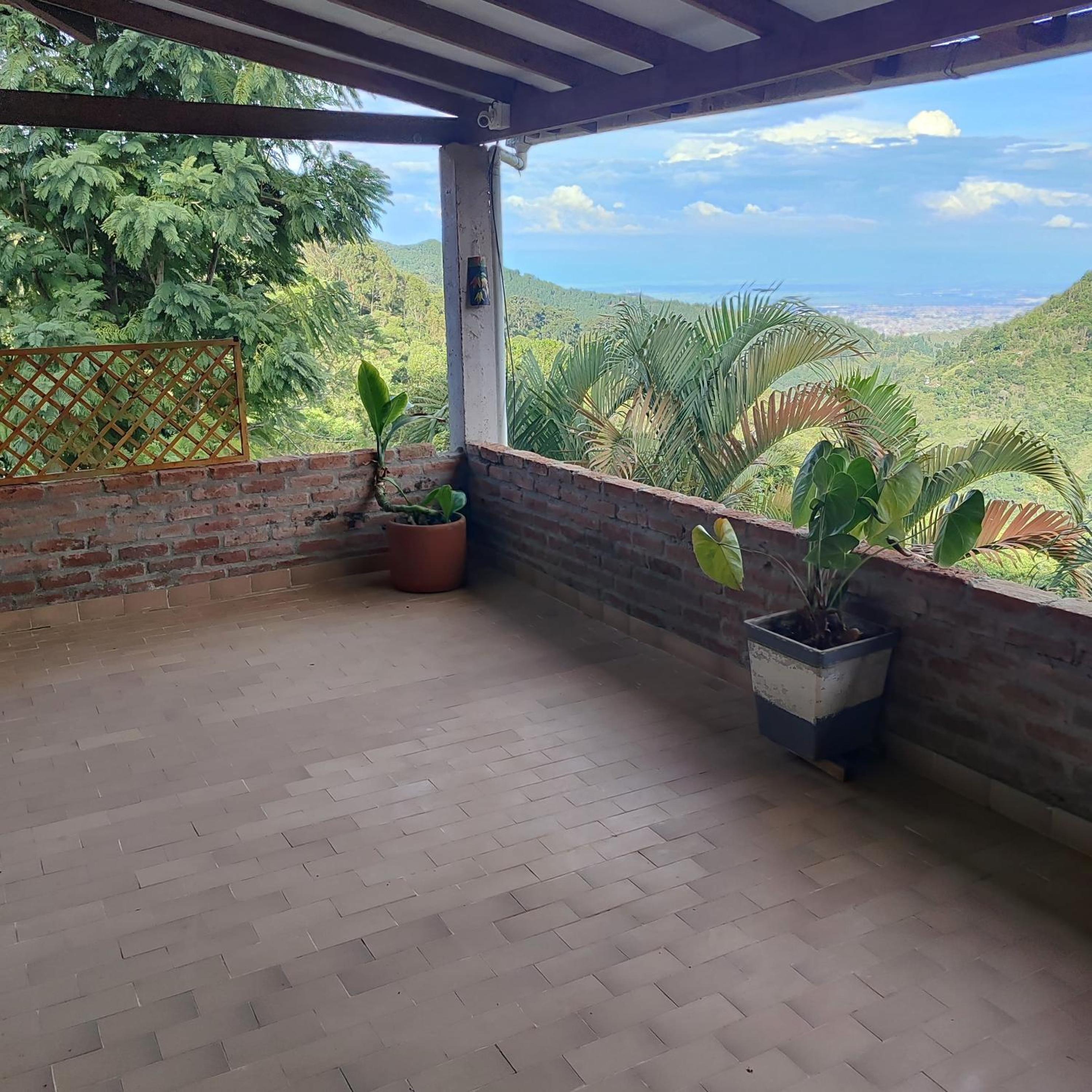 Finca Medicina Natural