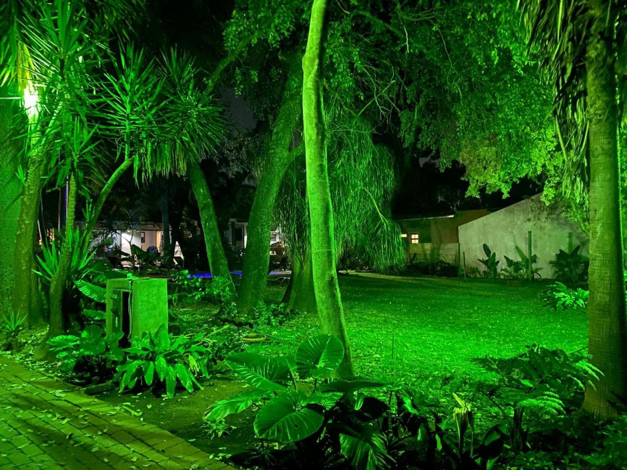 Photo 23