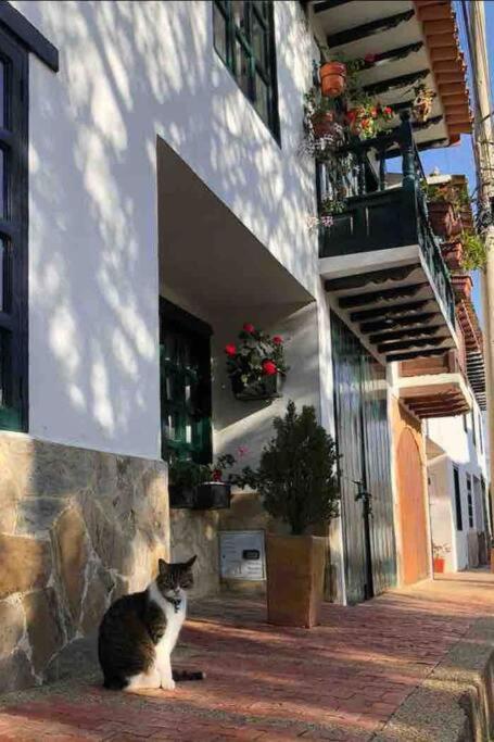 Casa Felipe Naturaleza Viva