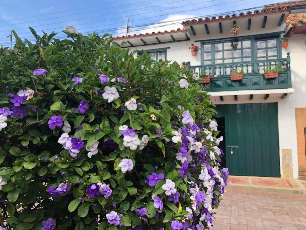 Casa Felipe Naturaleza Viva