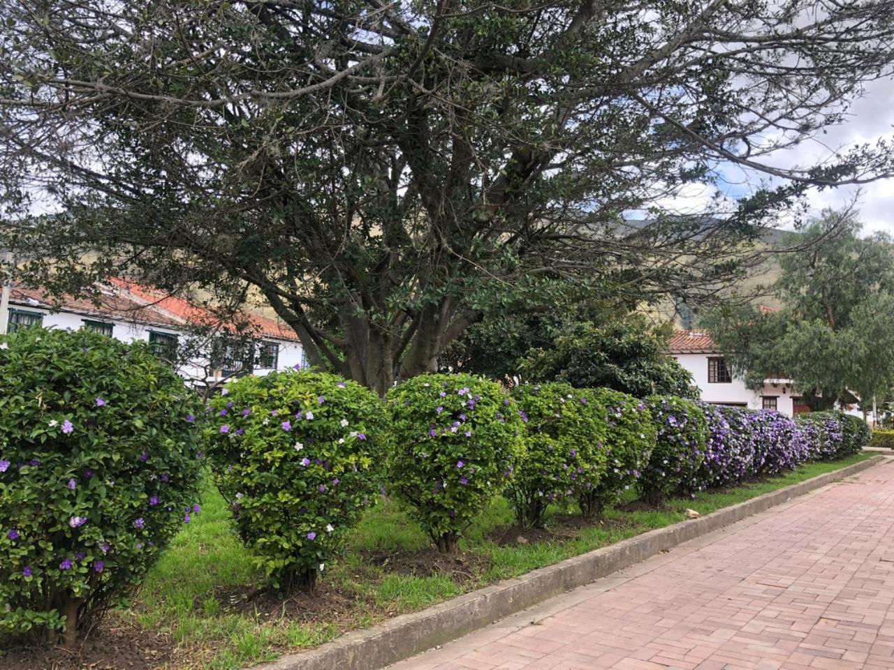 Casa Felipe Naturaleza Viva
