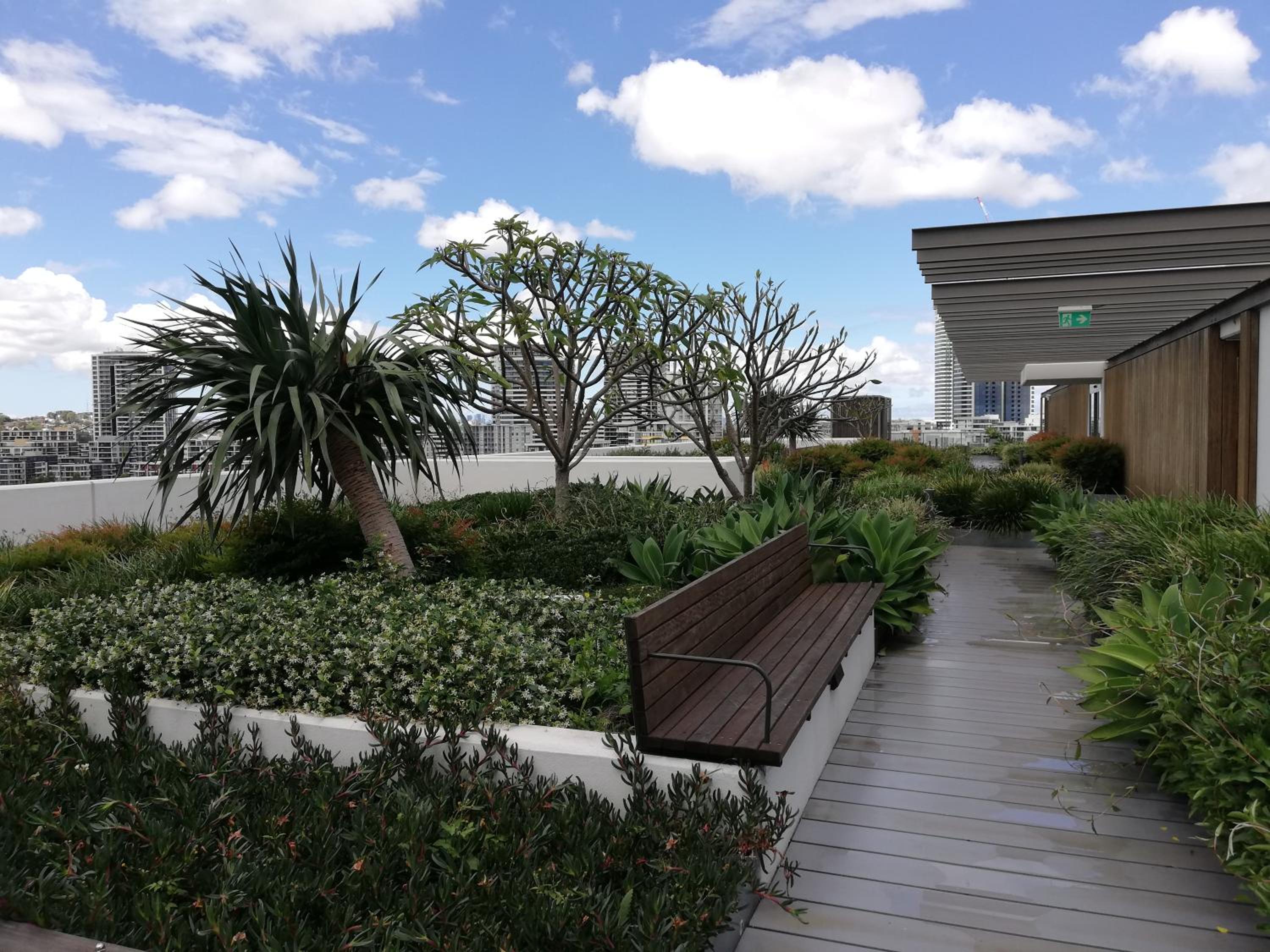 roof