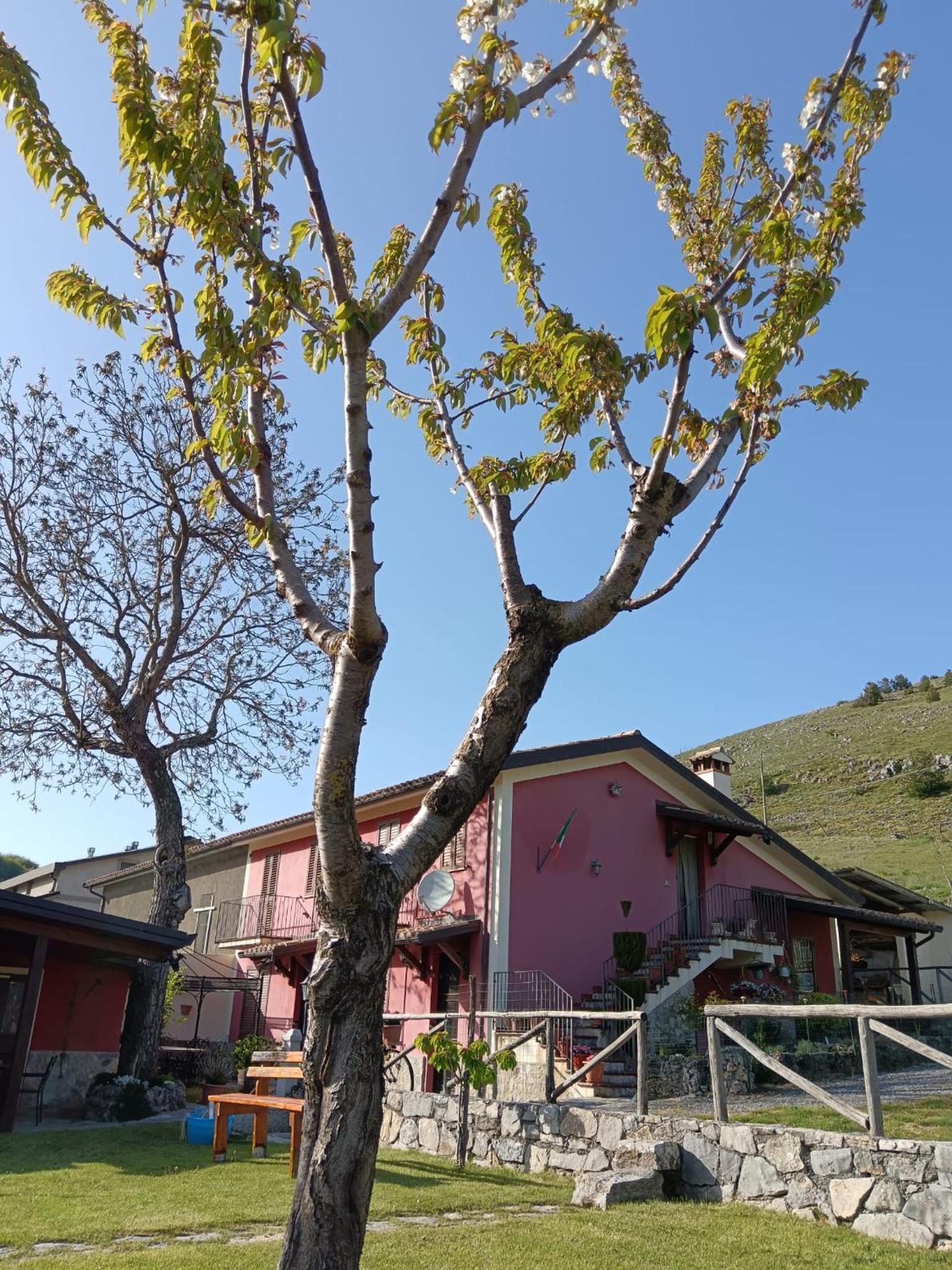 Photo 46