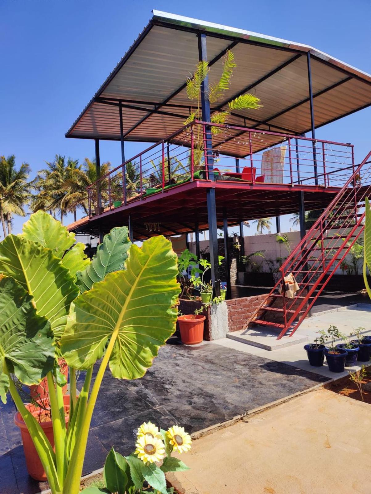 Rajni Farm House view 4