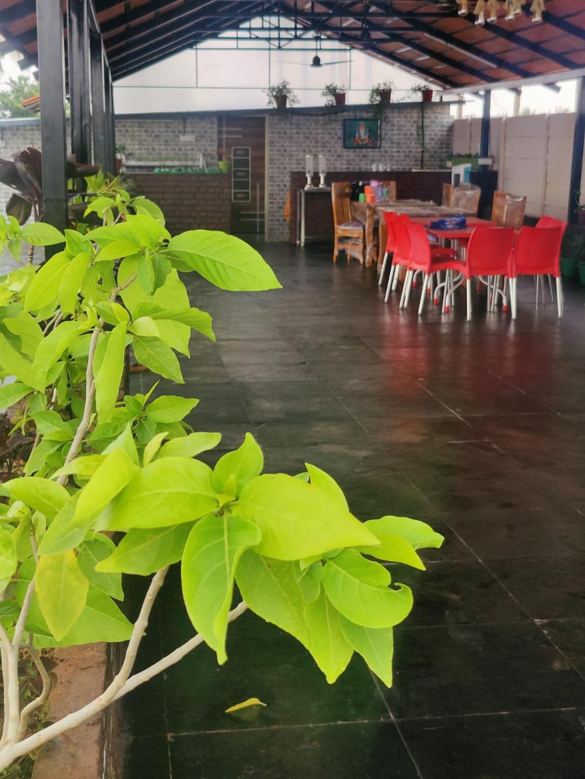 Rajni Farm House view 5