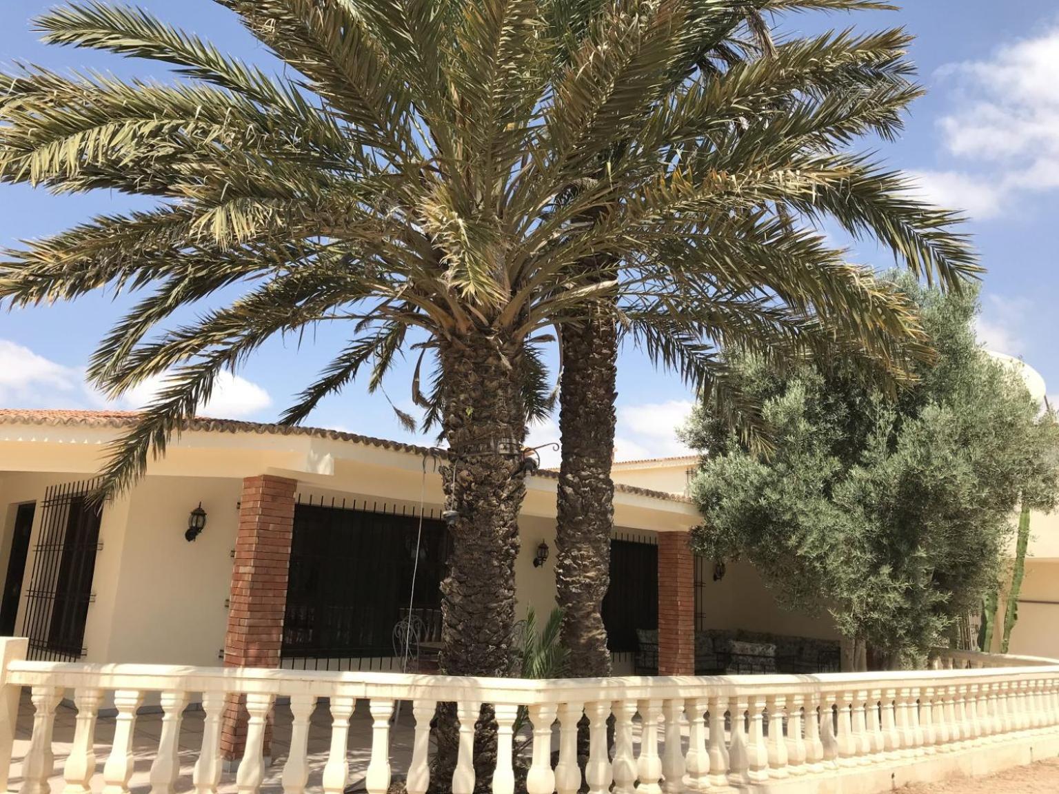 Tiguimi Vacances - Oasis Villas, cadre naturel et vue montagne
