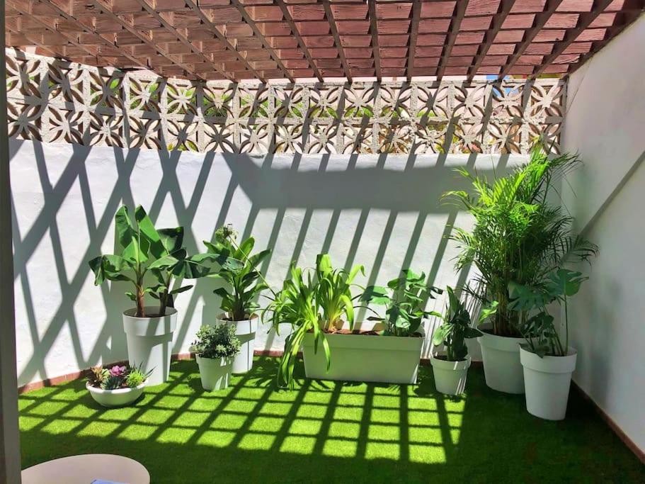 Princesa Dacil MembrilloSuites Collection