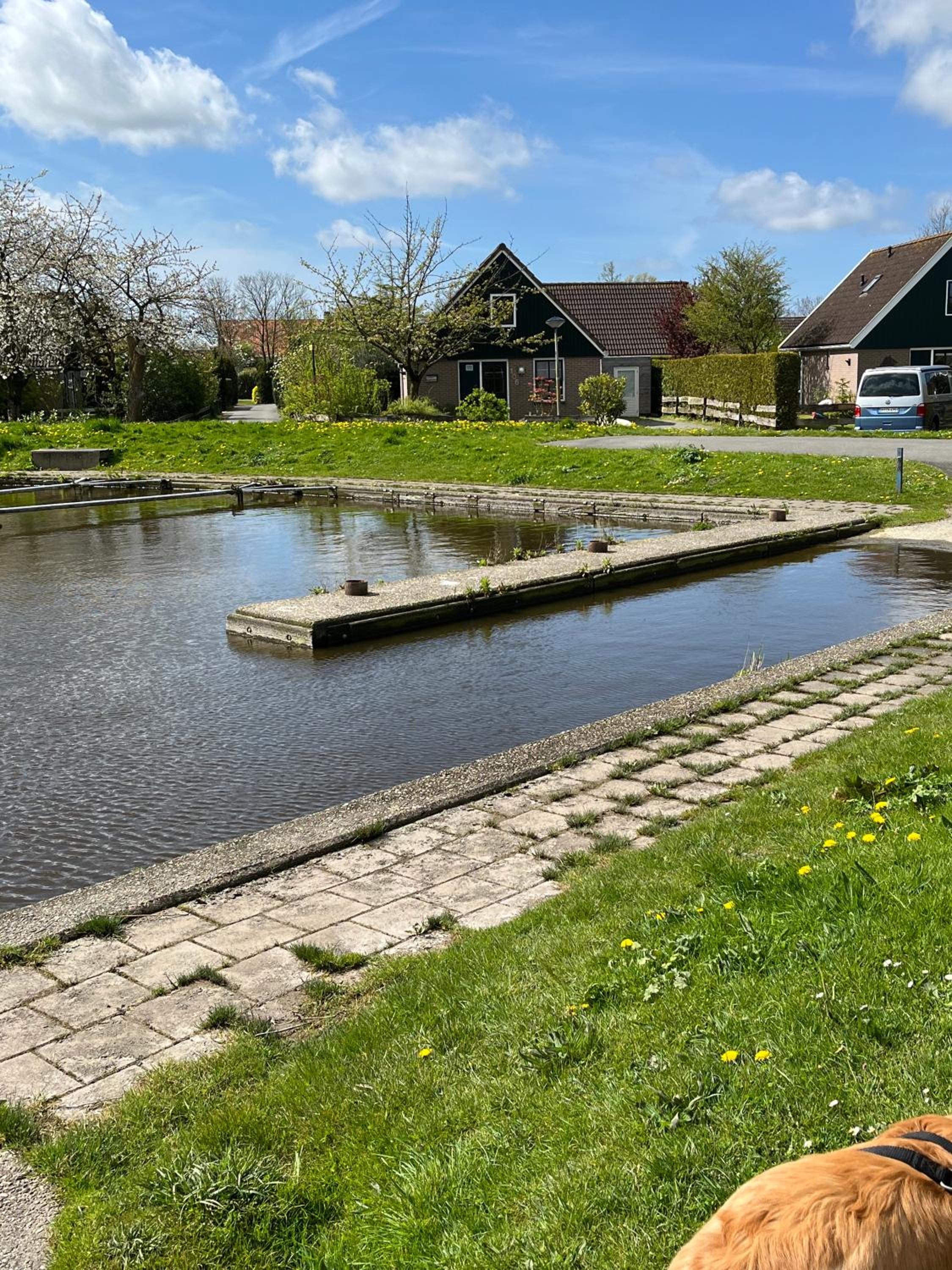 Zijperbries