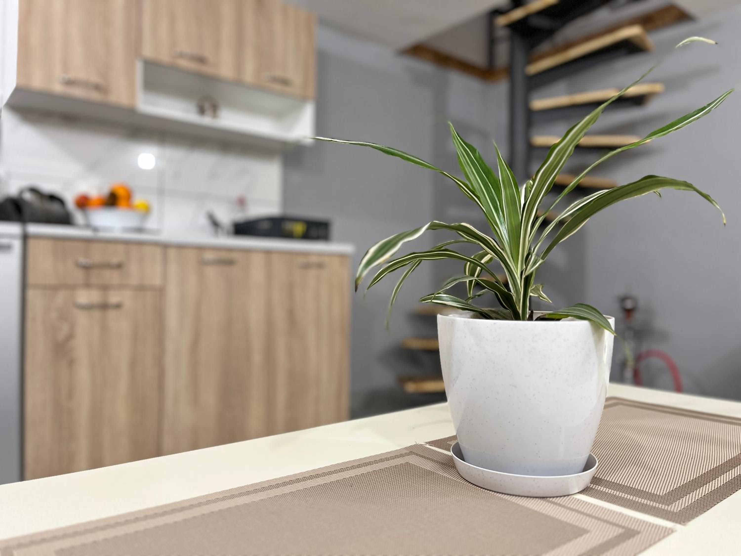 Apartman Elma