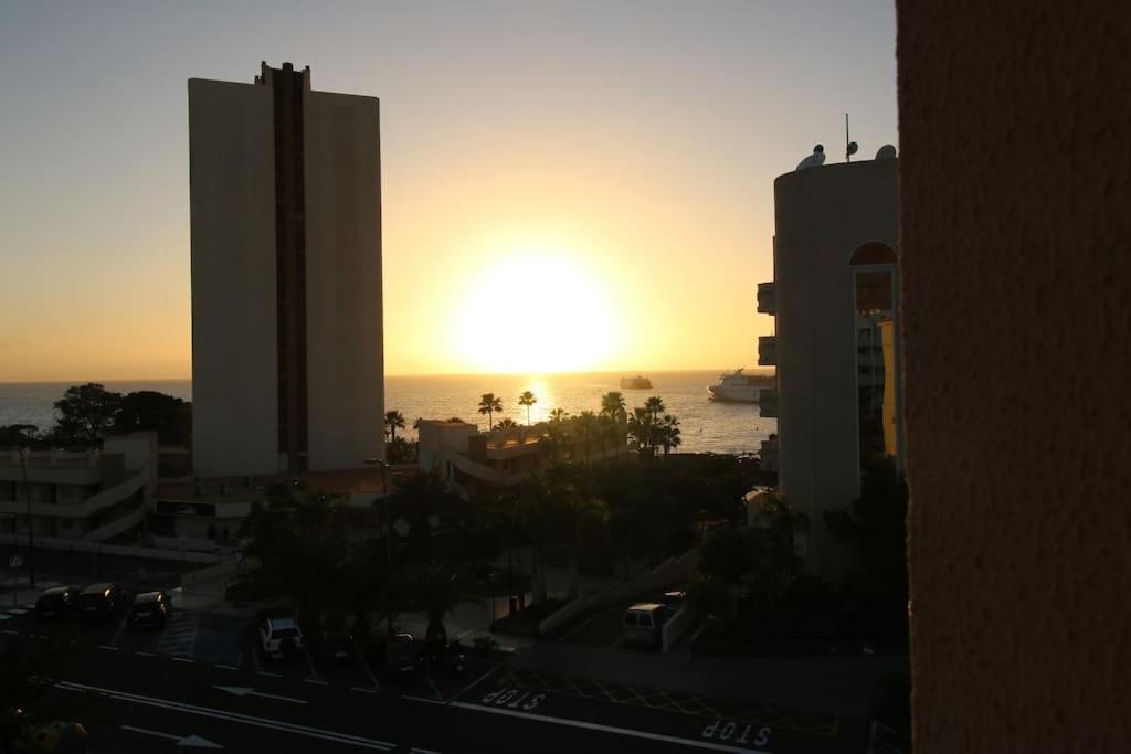 Sunny Tarajales MembrilloSuites Collection