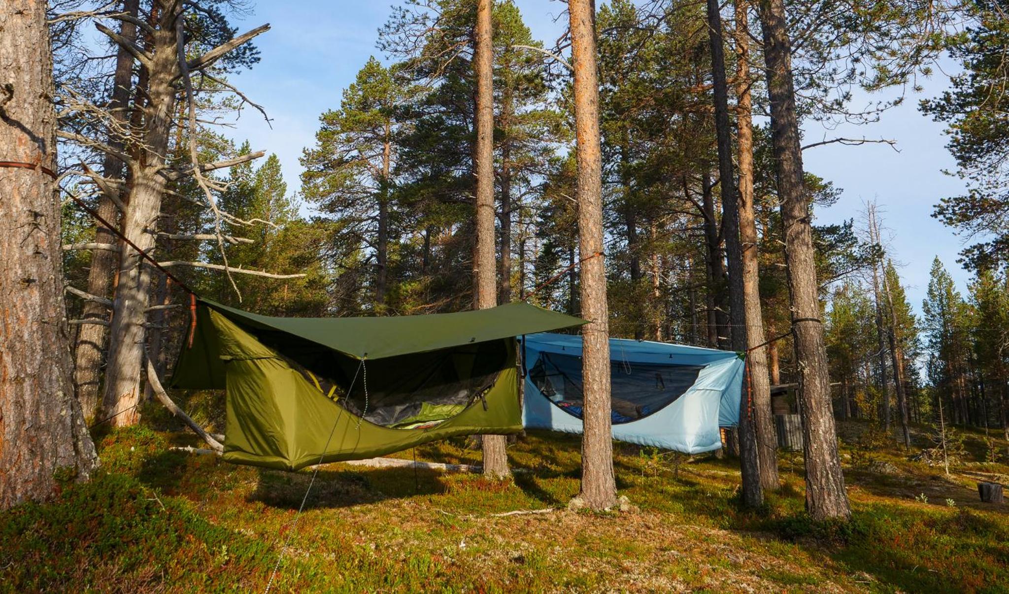 Pine Sky - Hammock Camp view 4