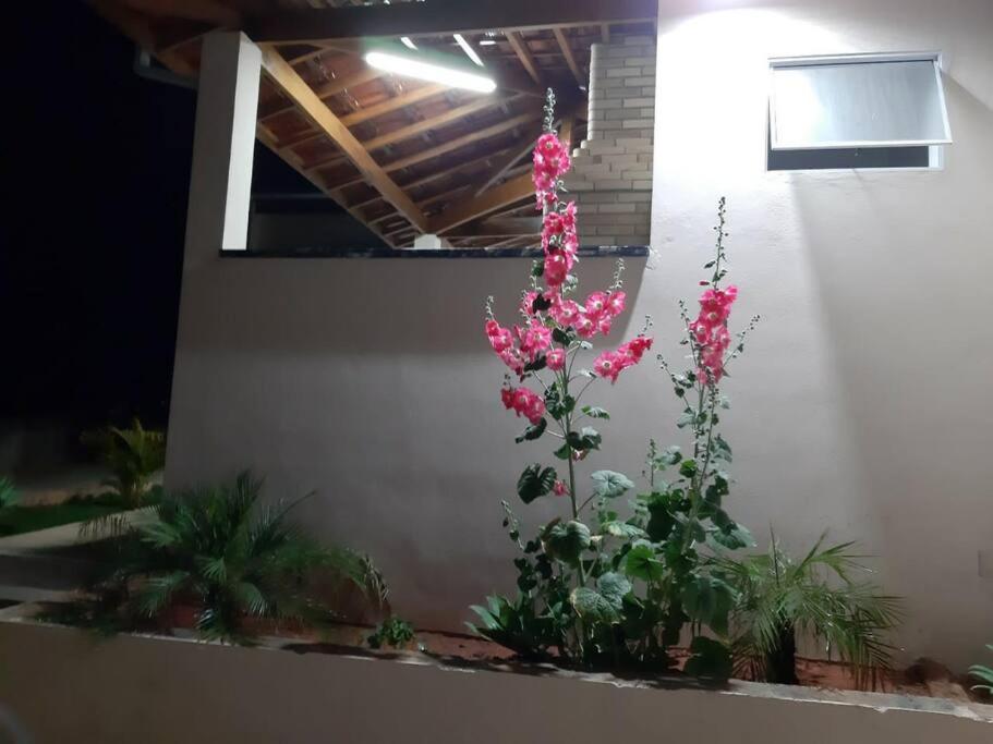 Chácara meu aconchego