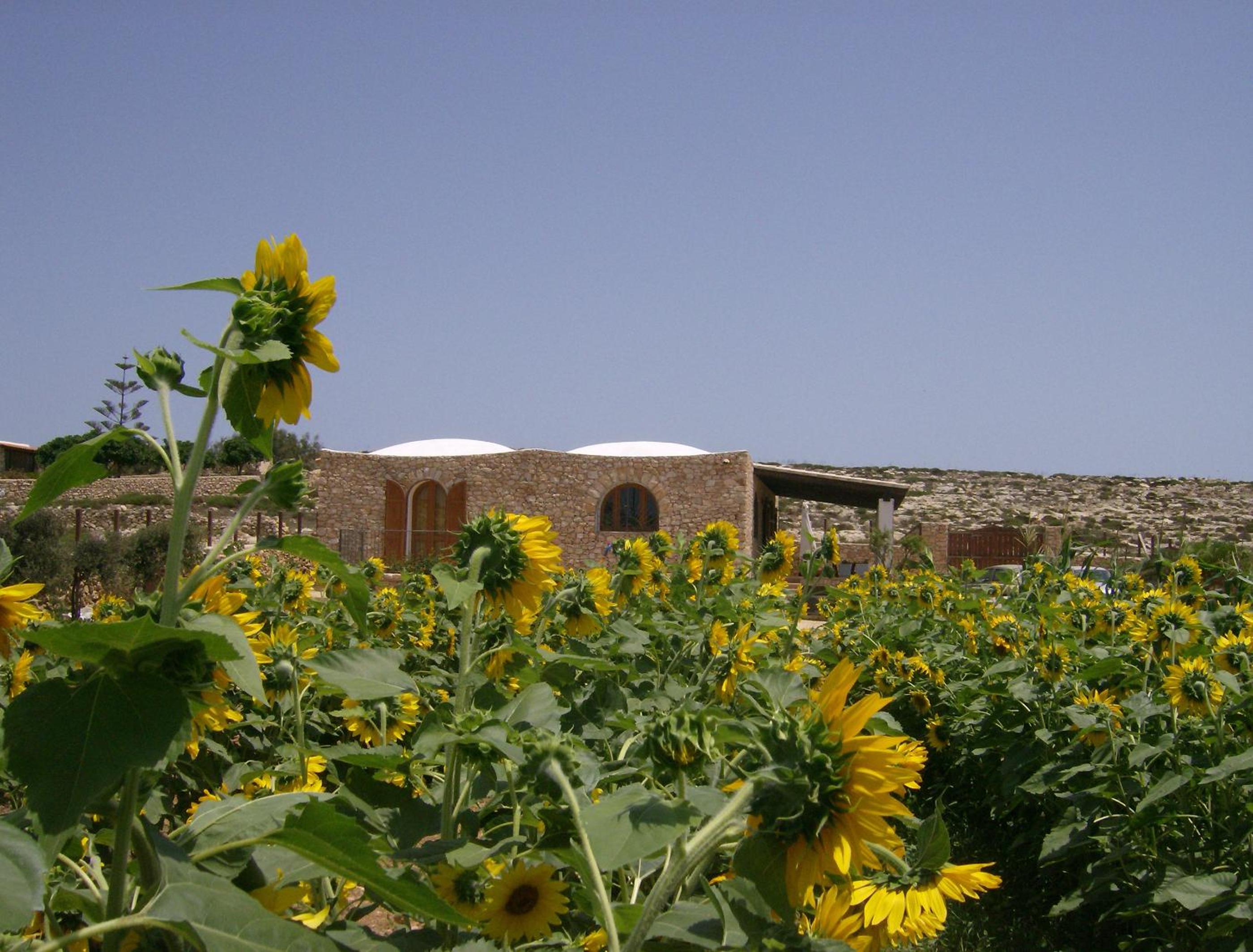 Dammusi Lampedusazzurra