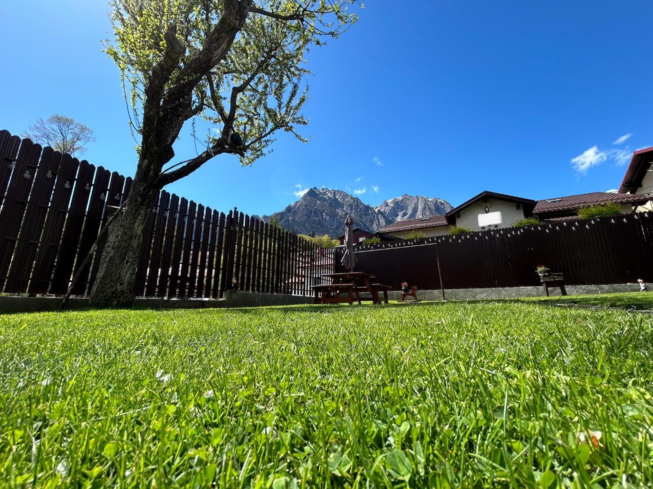 La Casa Verde