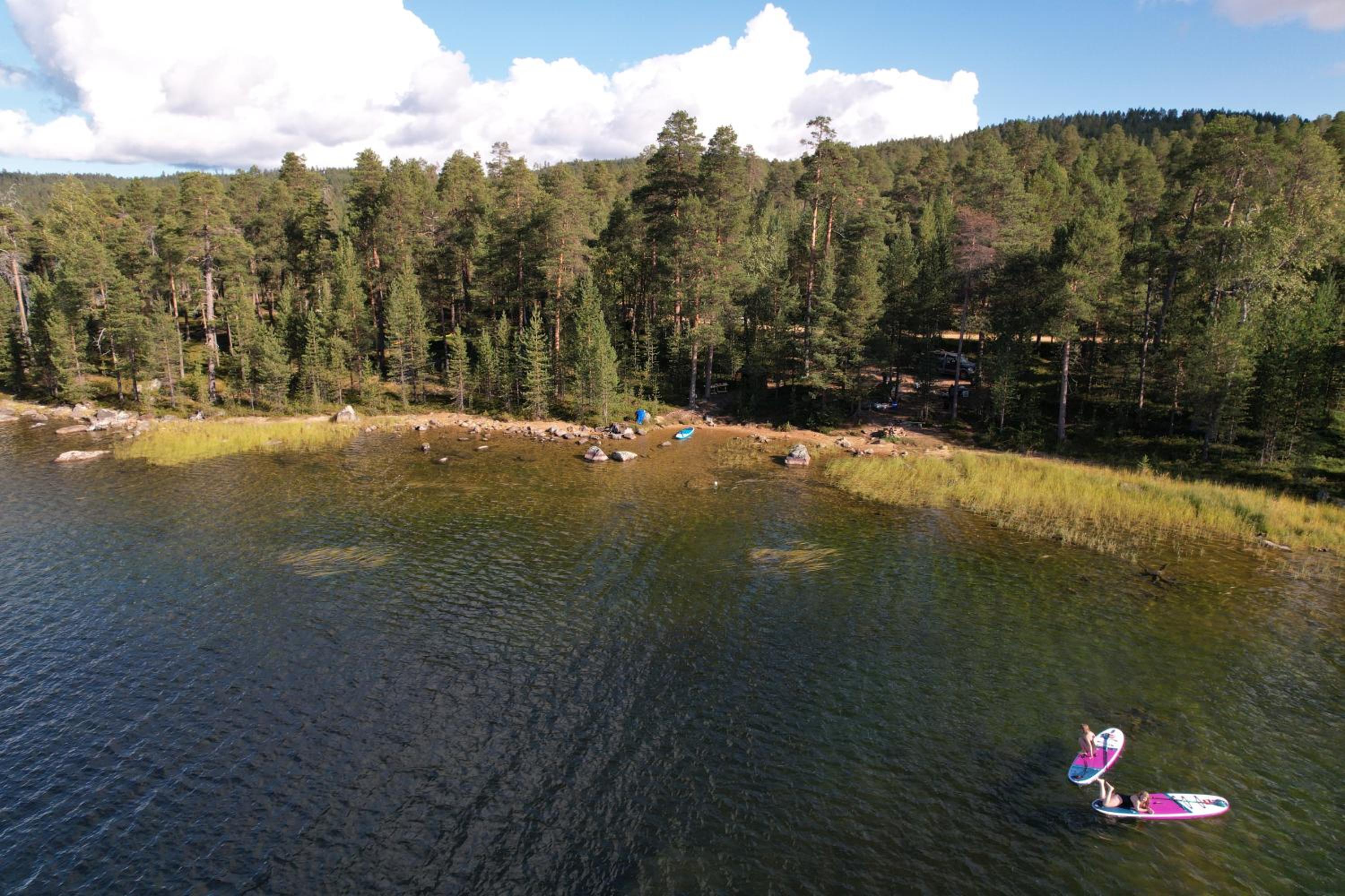 Pine Sky - Hammock Camp view 3