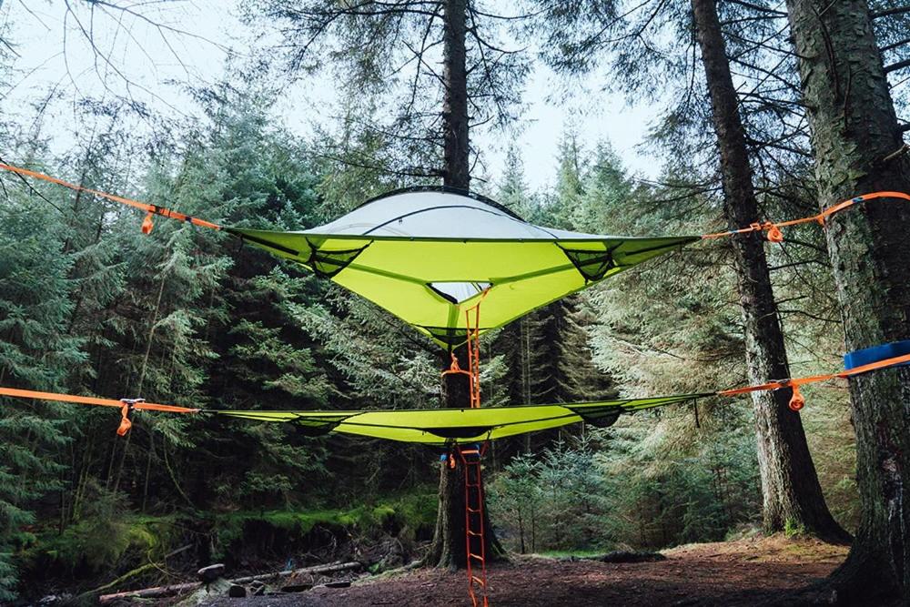 Pine Sky - Hammock Camp view 2