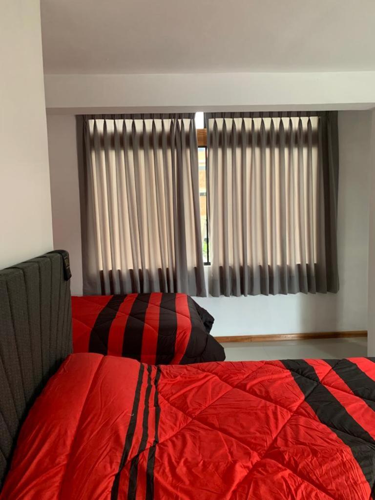 Habitación doble Oxapampa view 2