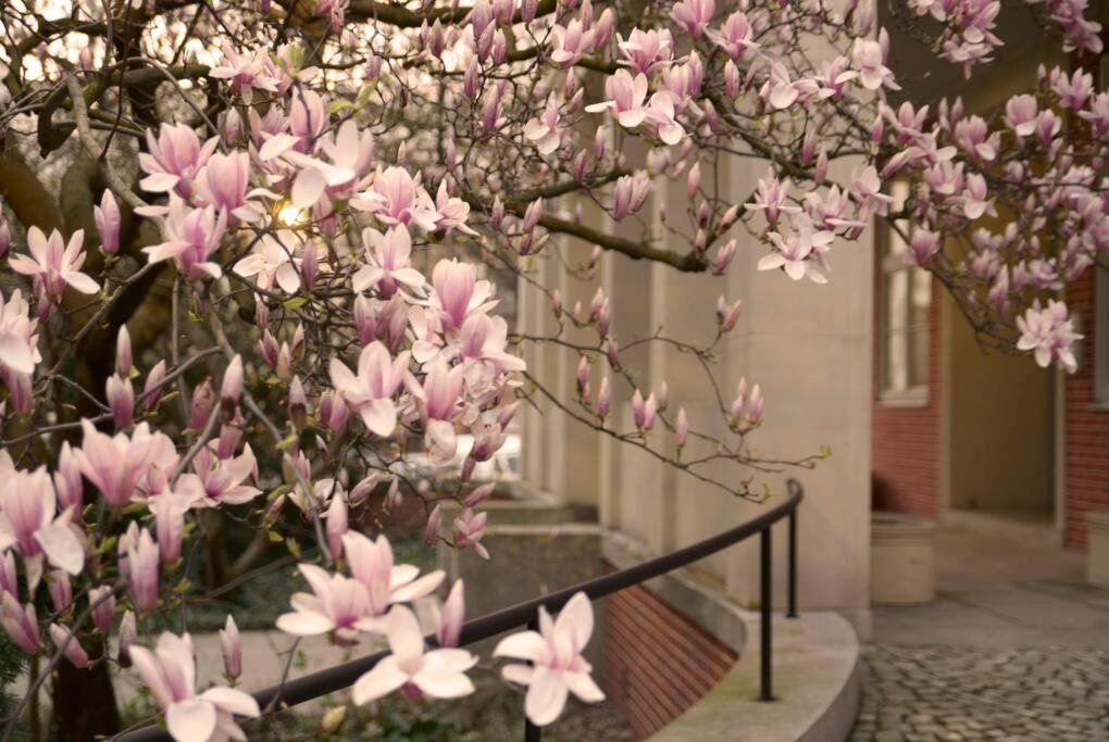 Elegant Apartment in the City Center