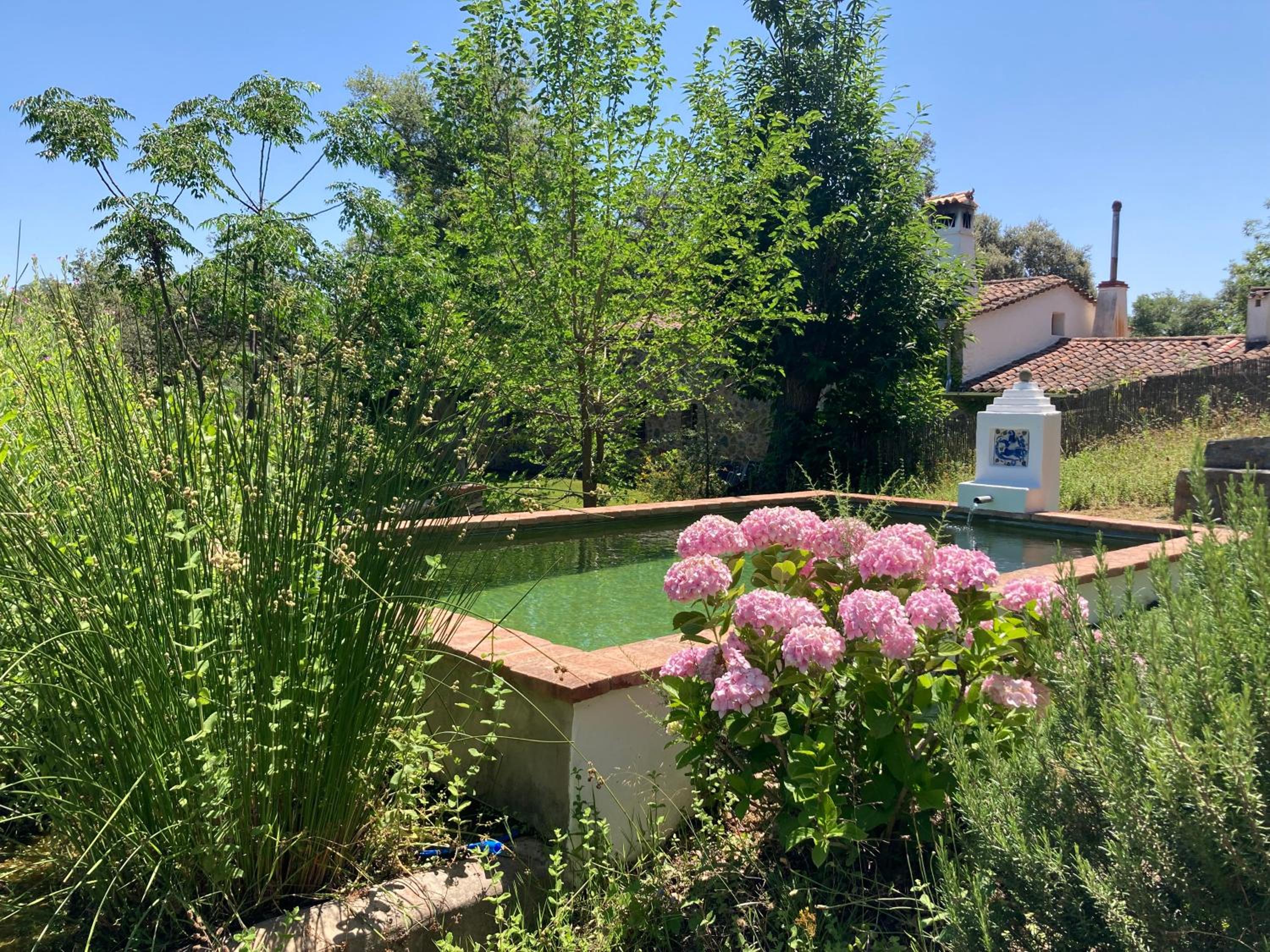 Finca El Gato
