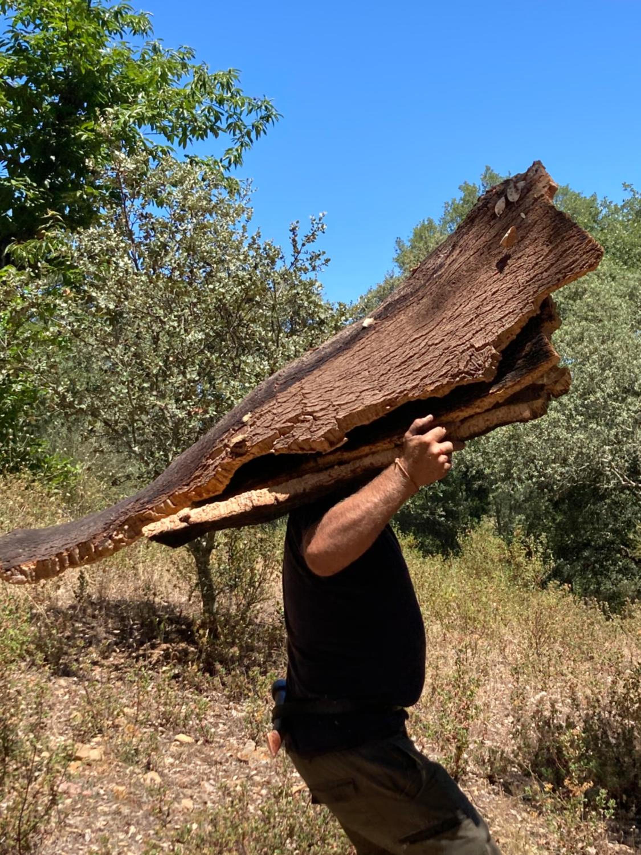 Finca El Gato