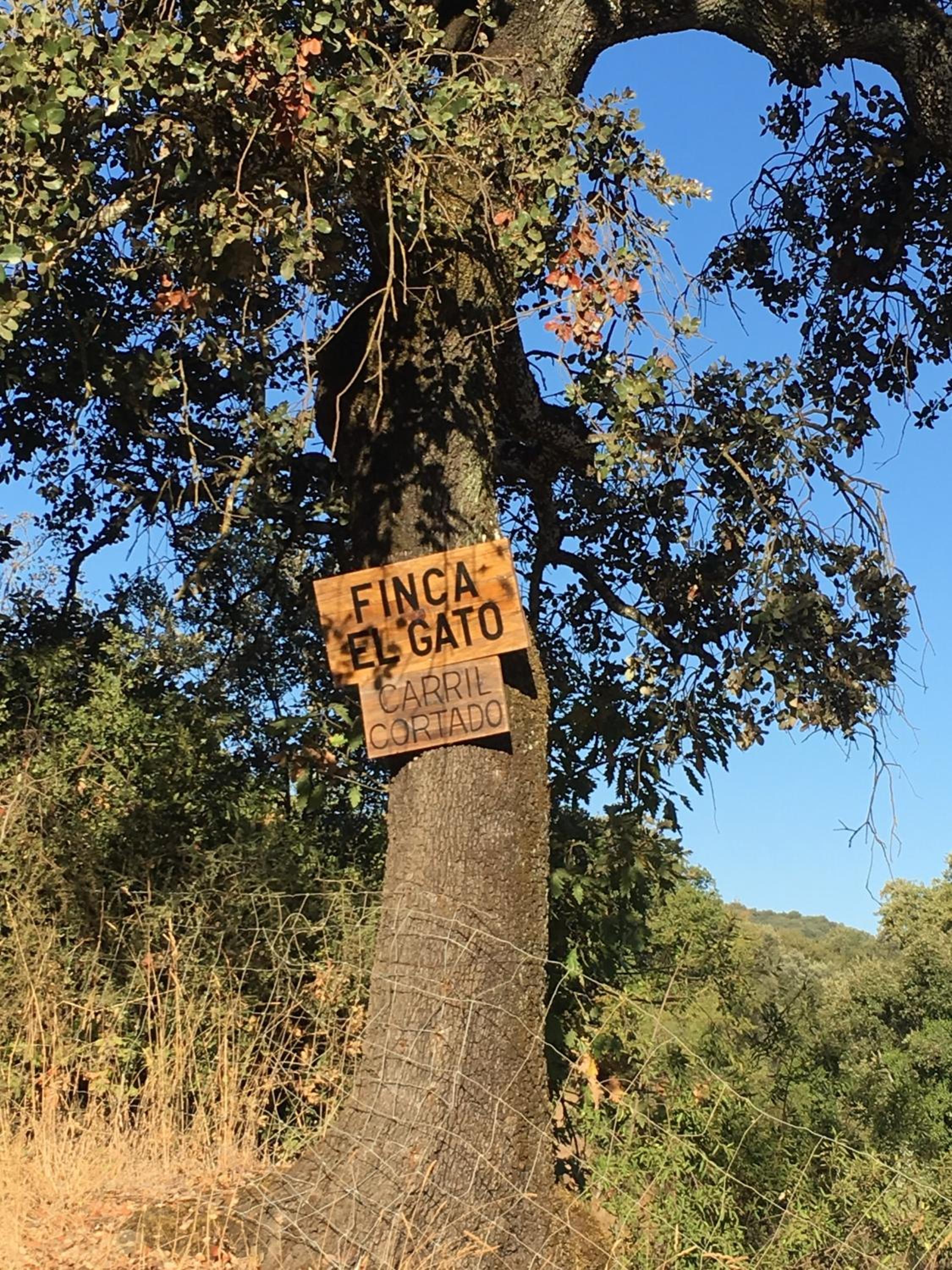 Finca El Gato