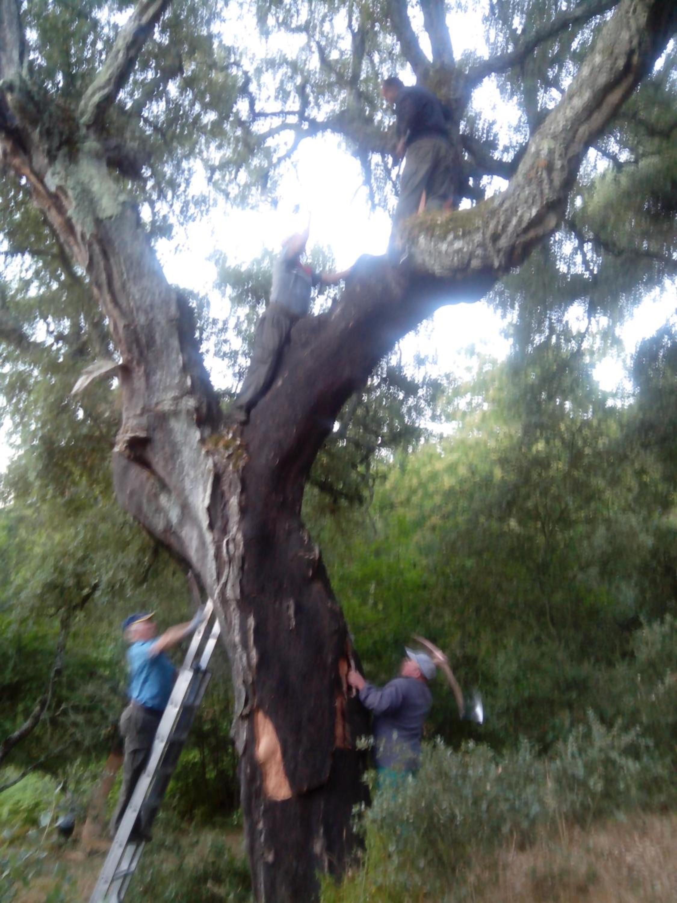 Finca El Gato