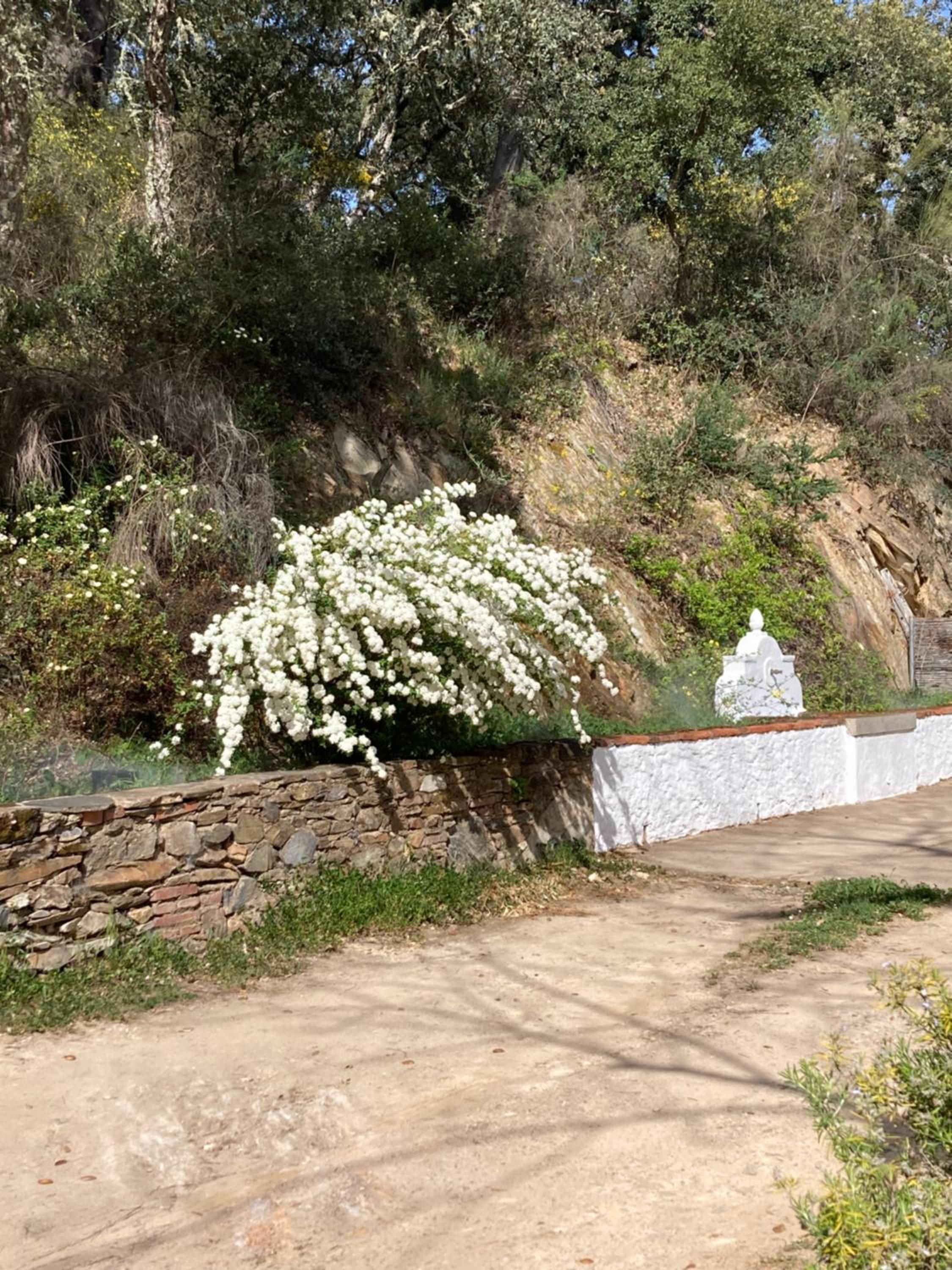 Finca El Gato