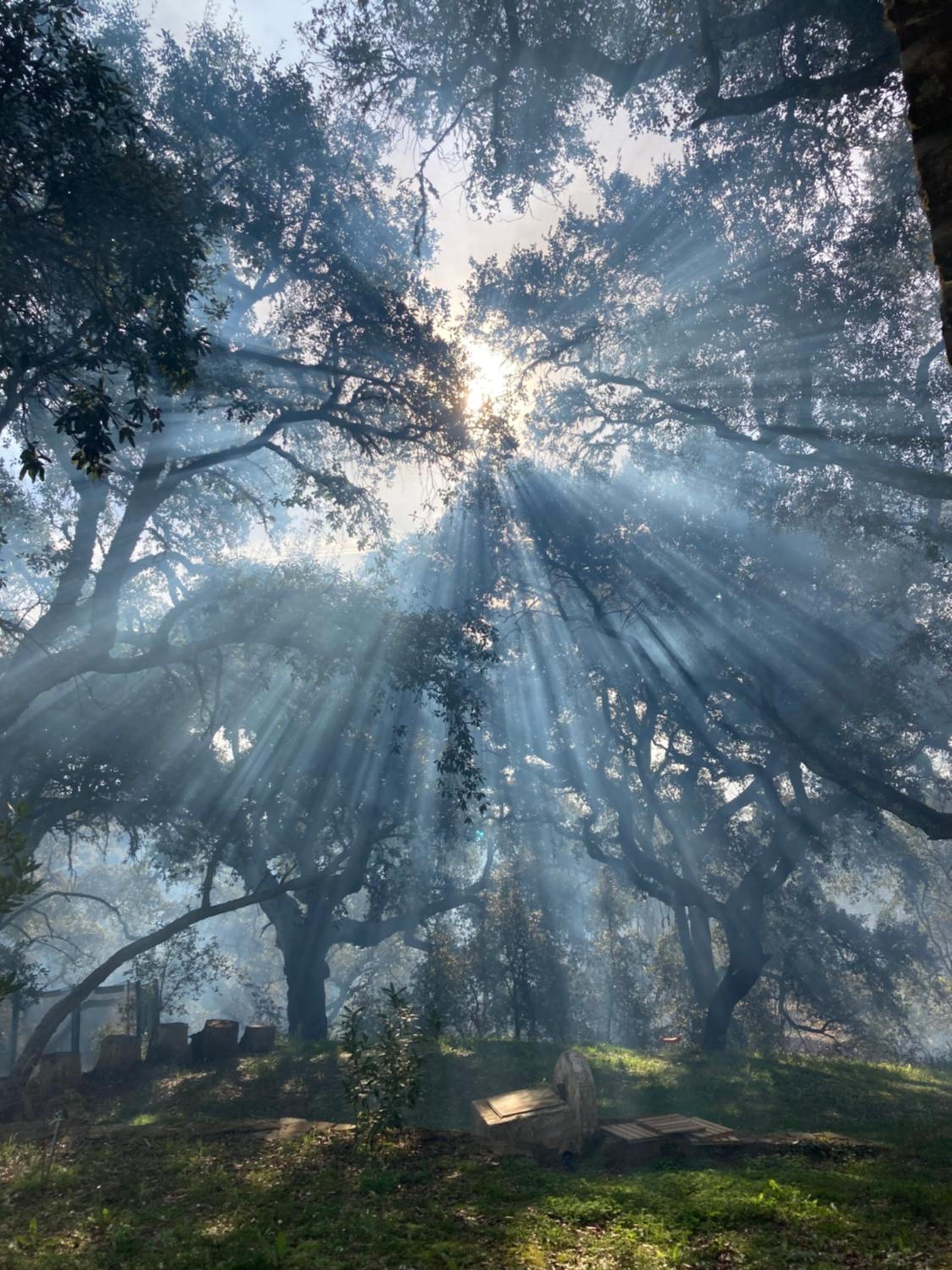 Finca El Gato